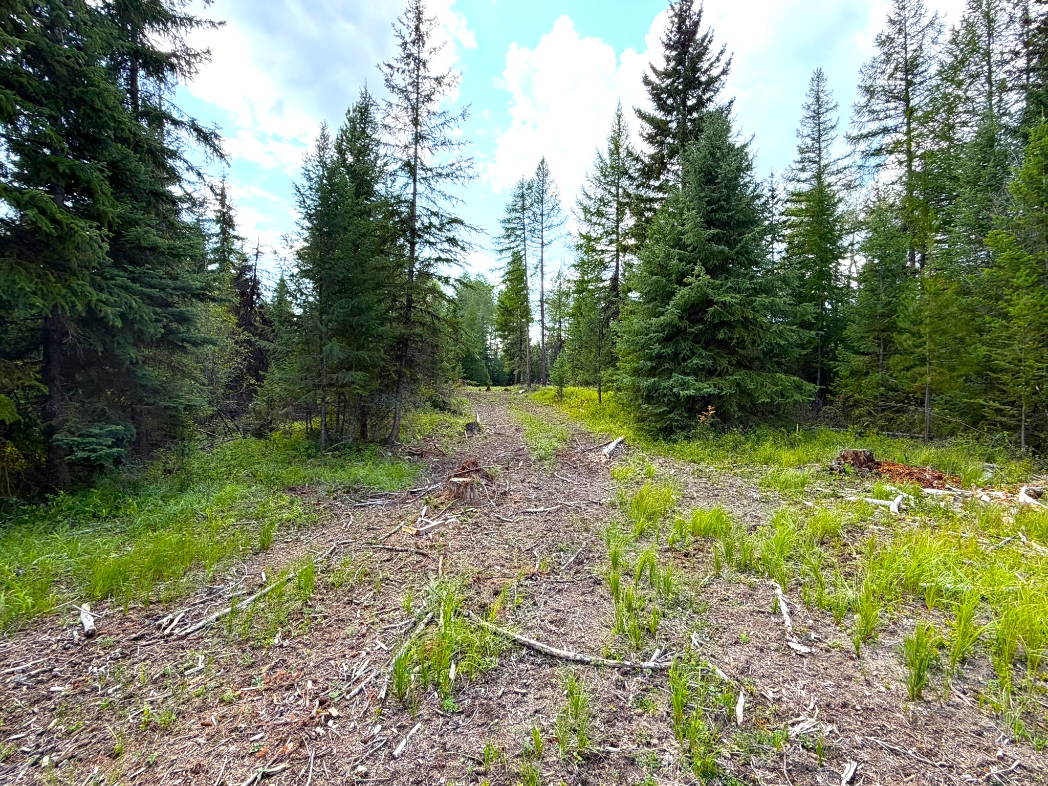468 Haskill Ranch Road Property Photo 2