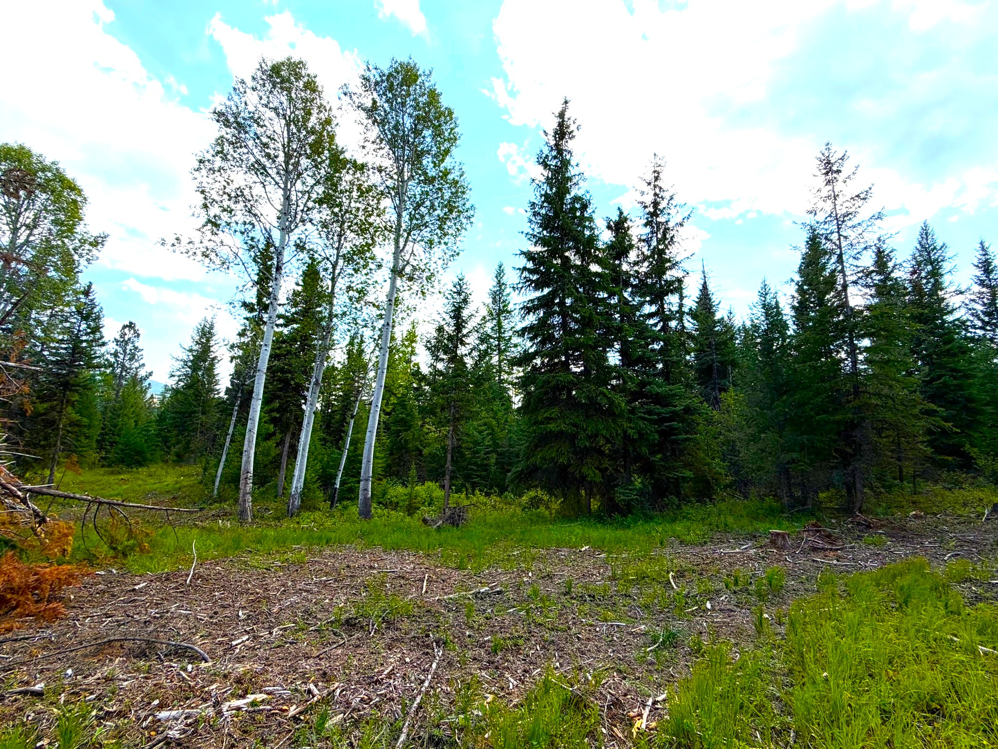 468 Haskill Ranch Road Property Photo 3
