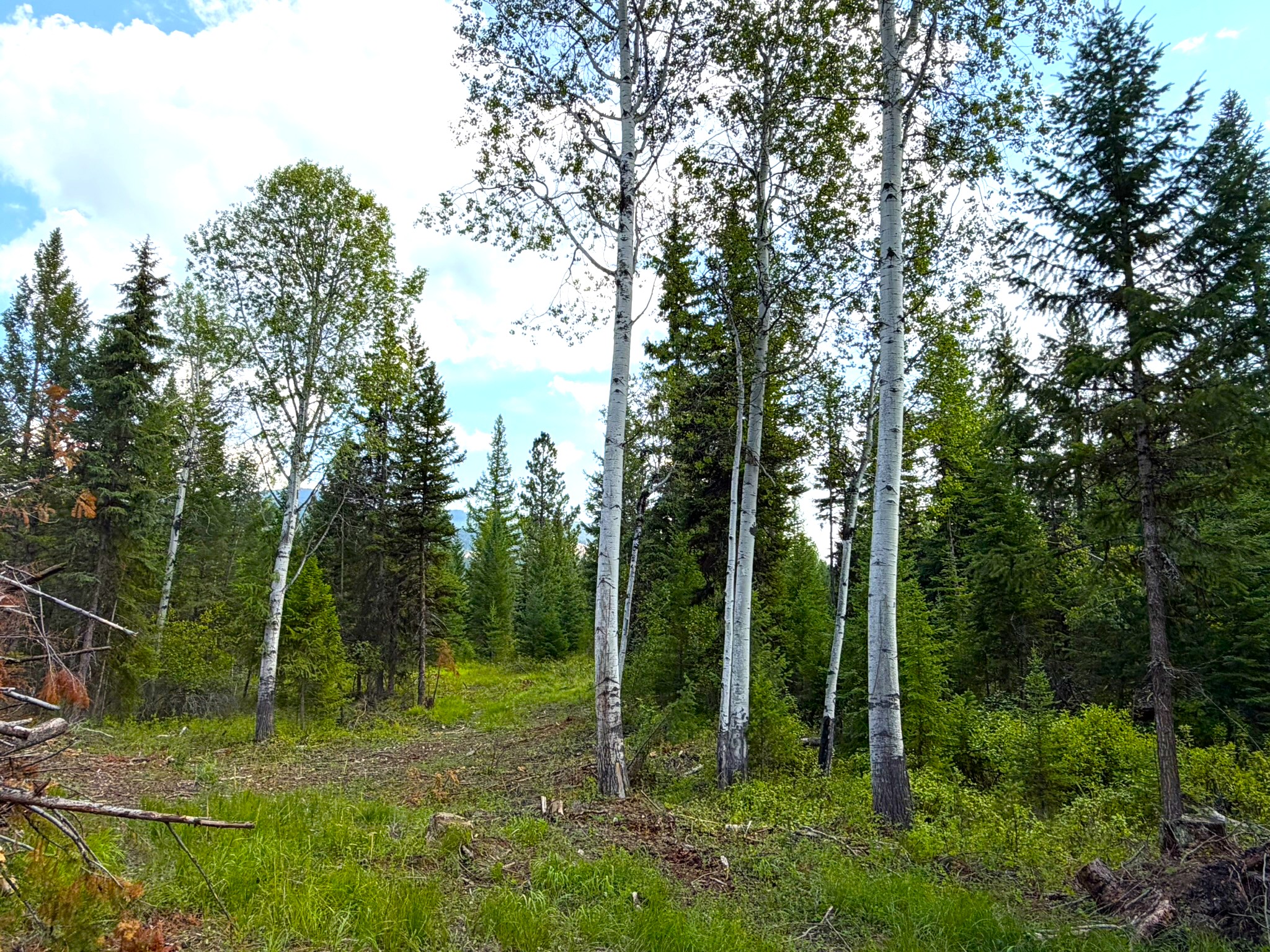468 Haskill Ranch Road Property Photo 4