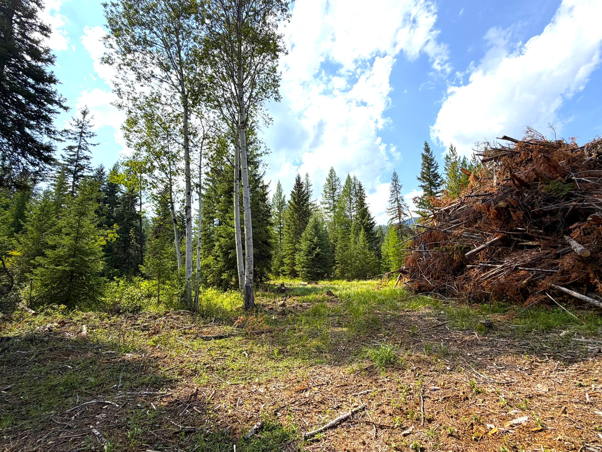 468 Haskill Ranch Road Property Photo 5