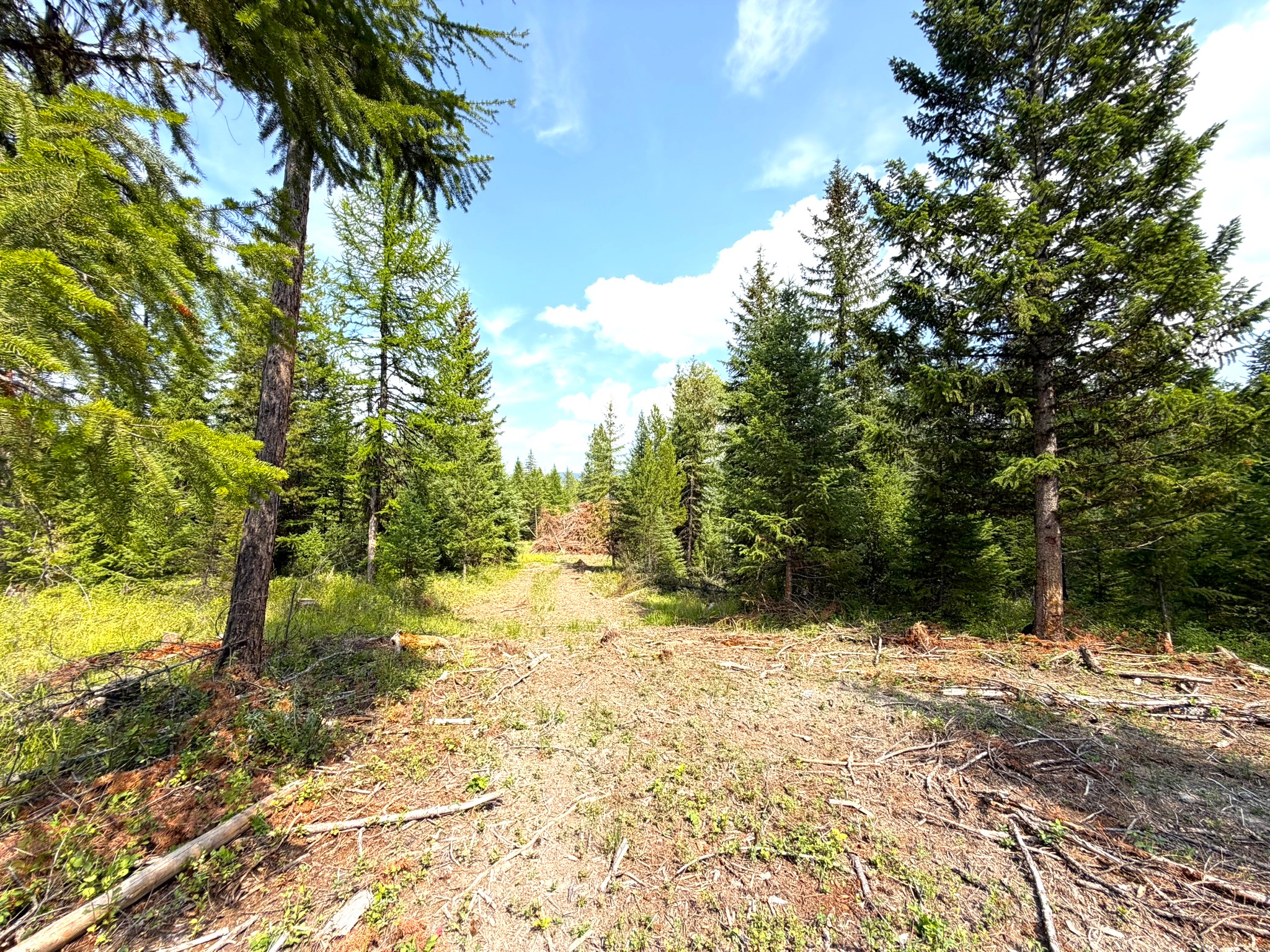 468 Haskill Ranch Road Property Photo 7