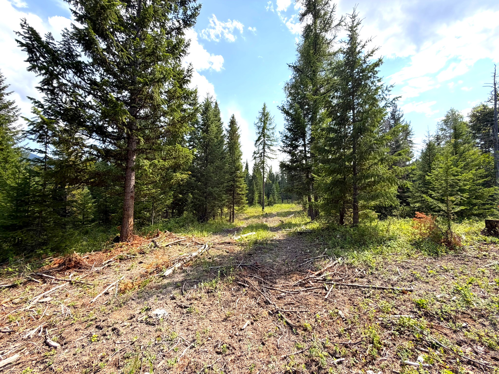 468 Haskill Ranch Road Property Photo 8
