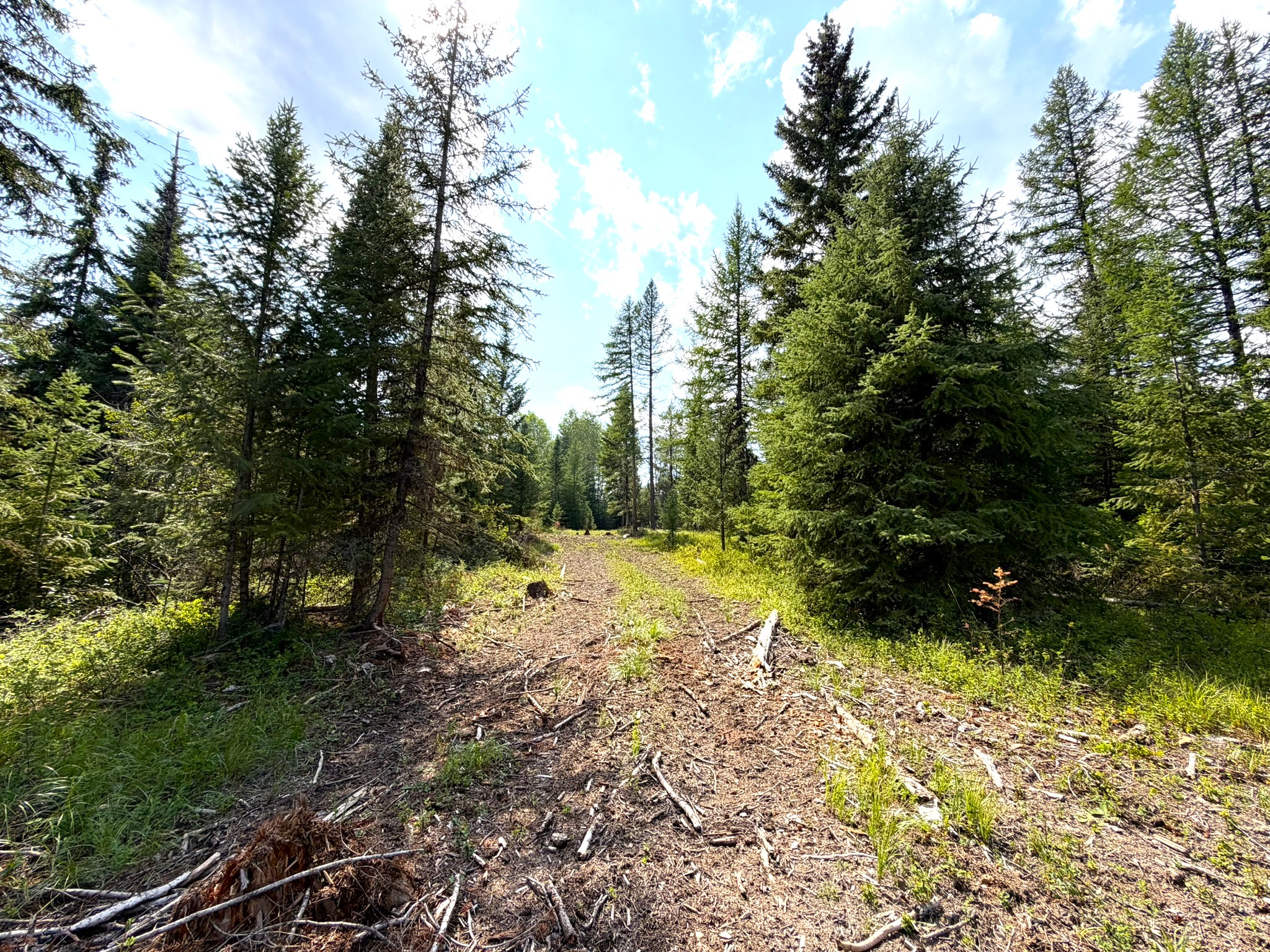 468 Haskill Ranch Road Property Photo 9