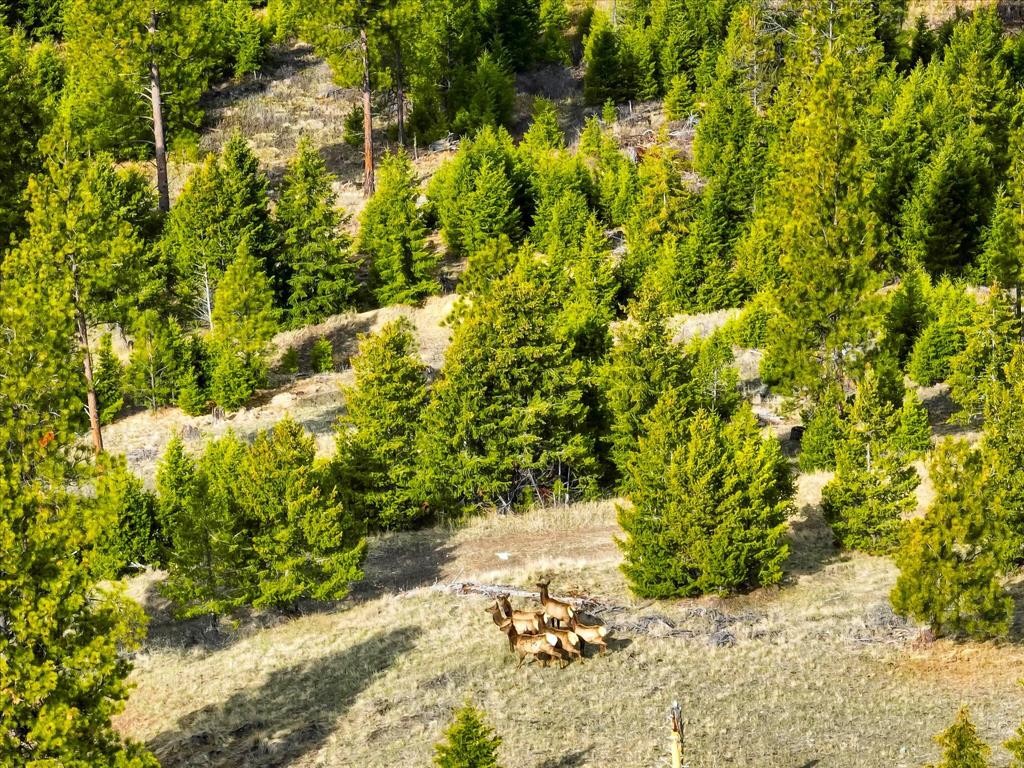 468 Haskill Ranch Road Property Photo 11
