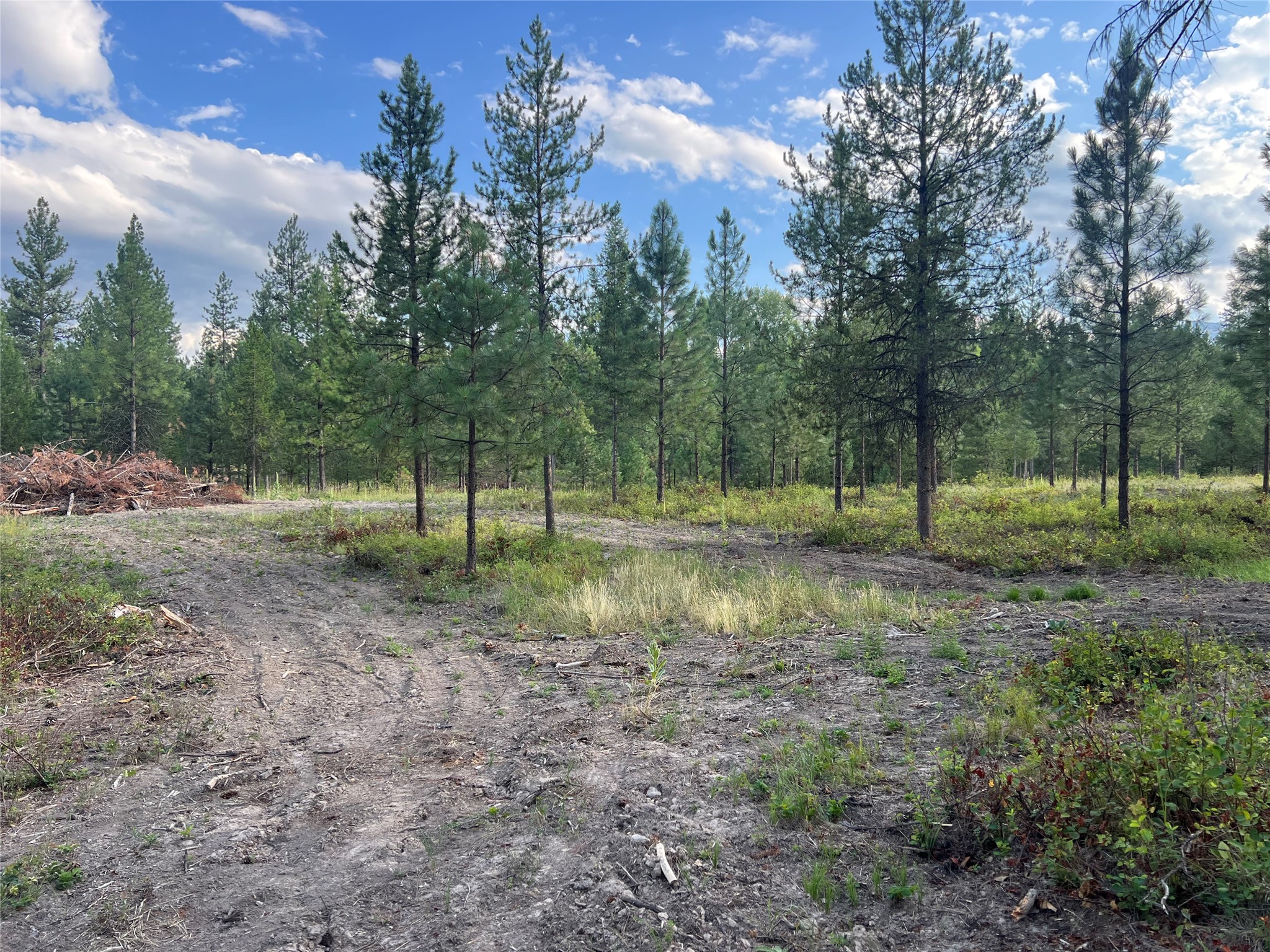 Tbd Granite Lake Road 2 Property Photo 2