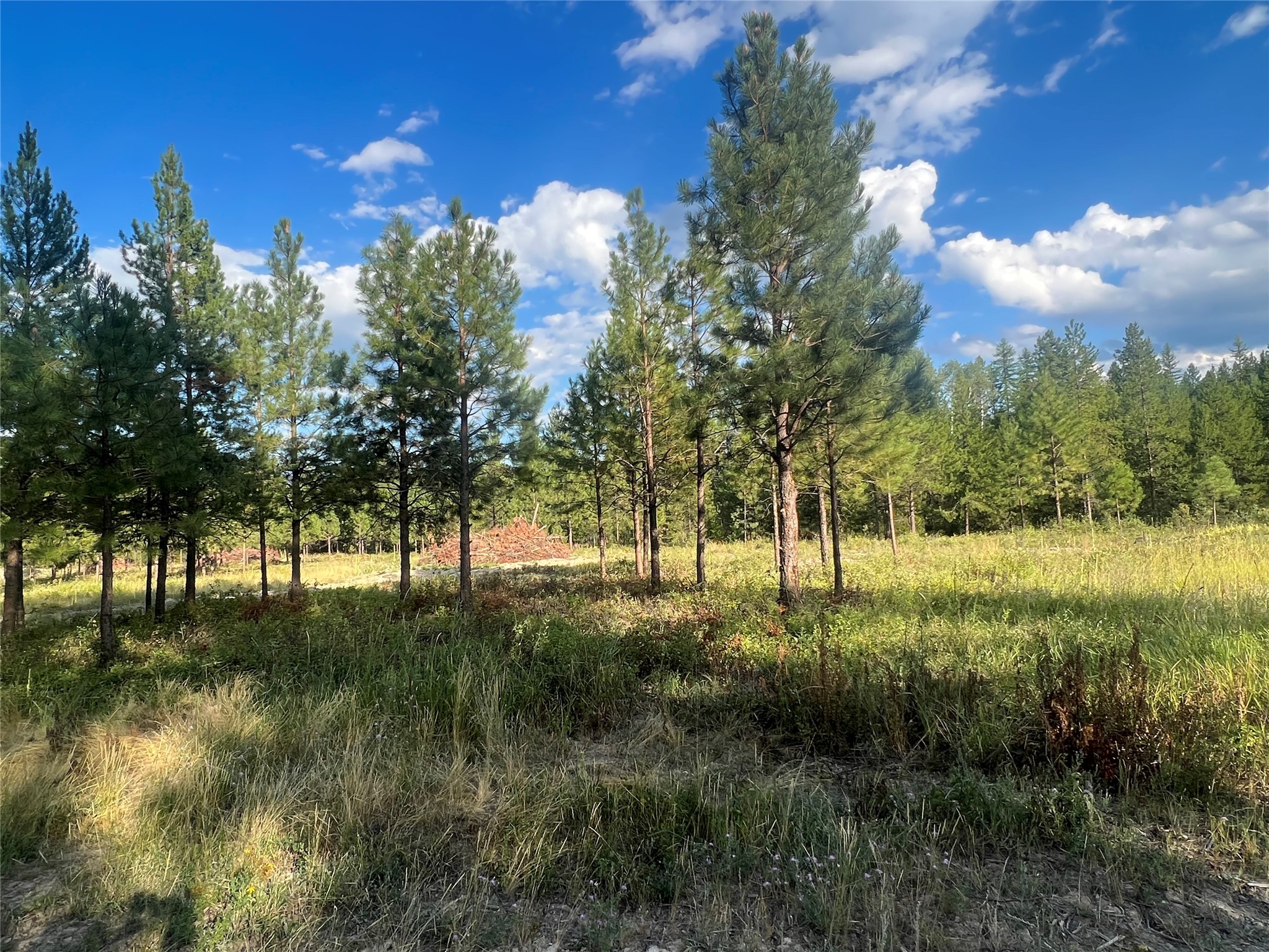 Tbd Granite Lake Road 3 Property Photo 5