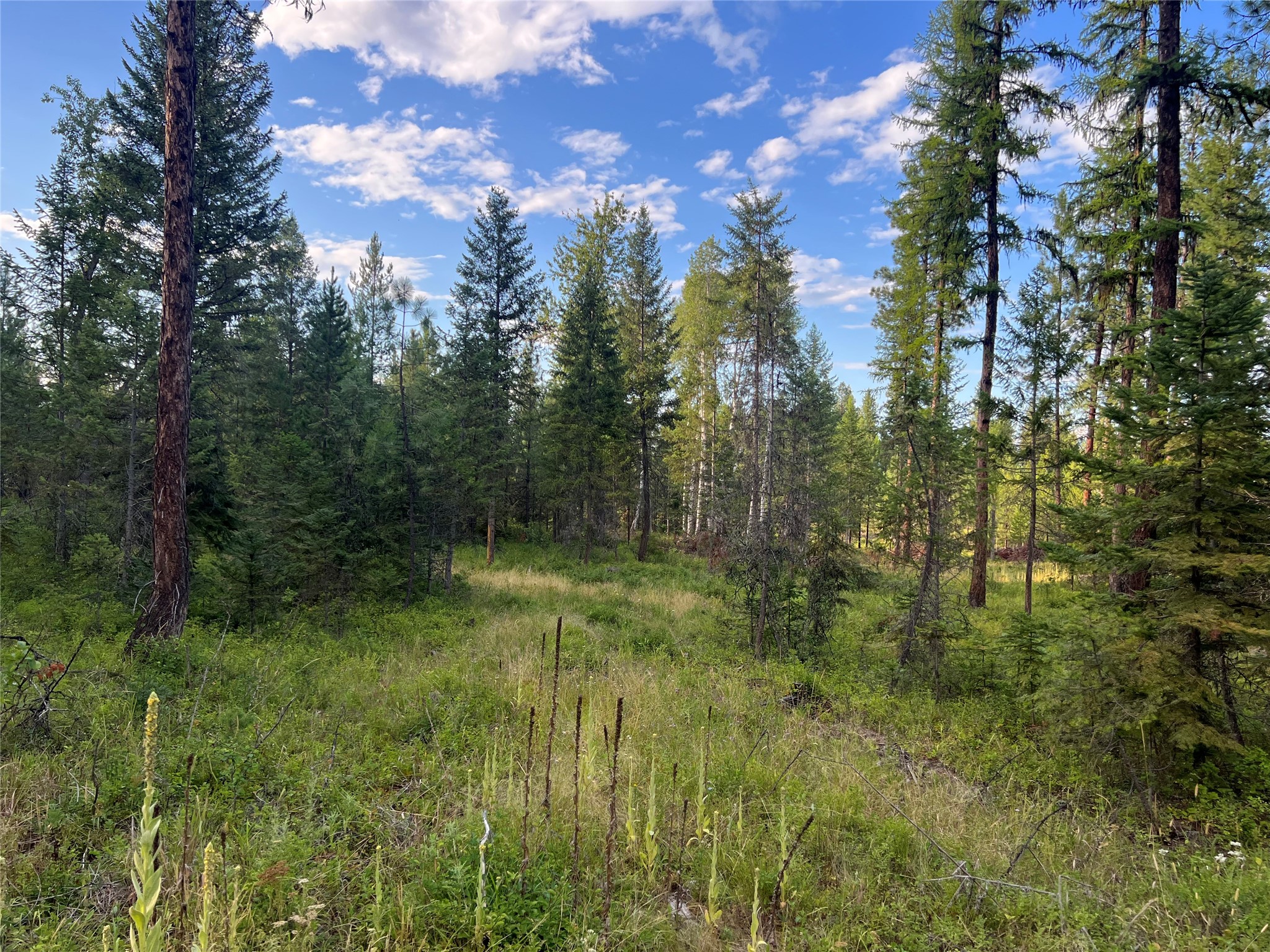 Tbd Granite Lake Road 6 Property Photo 4
