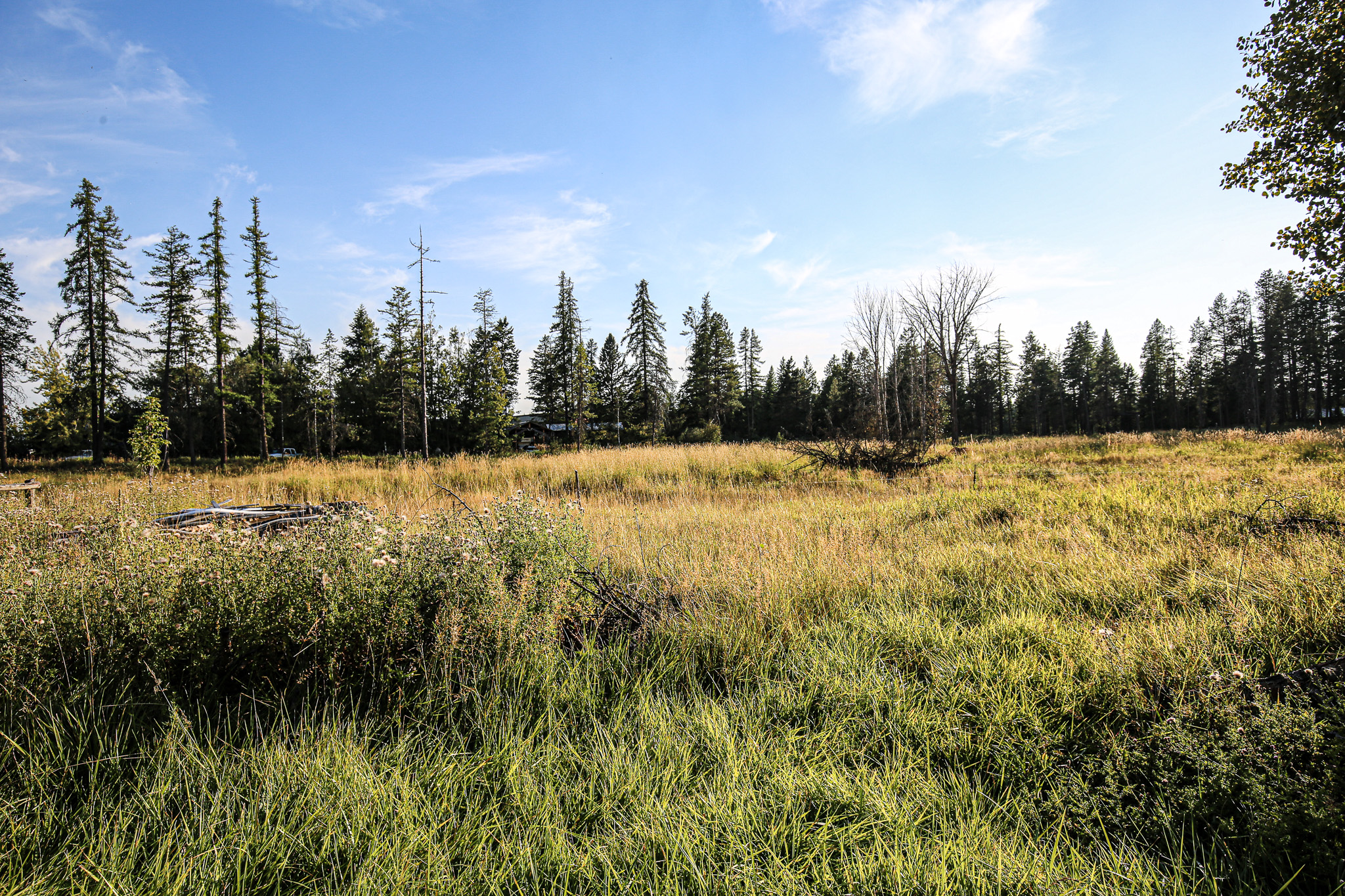 5098 Us Hwy 93 S Property Photo 41
