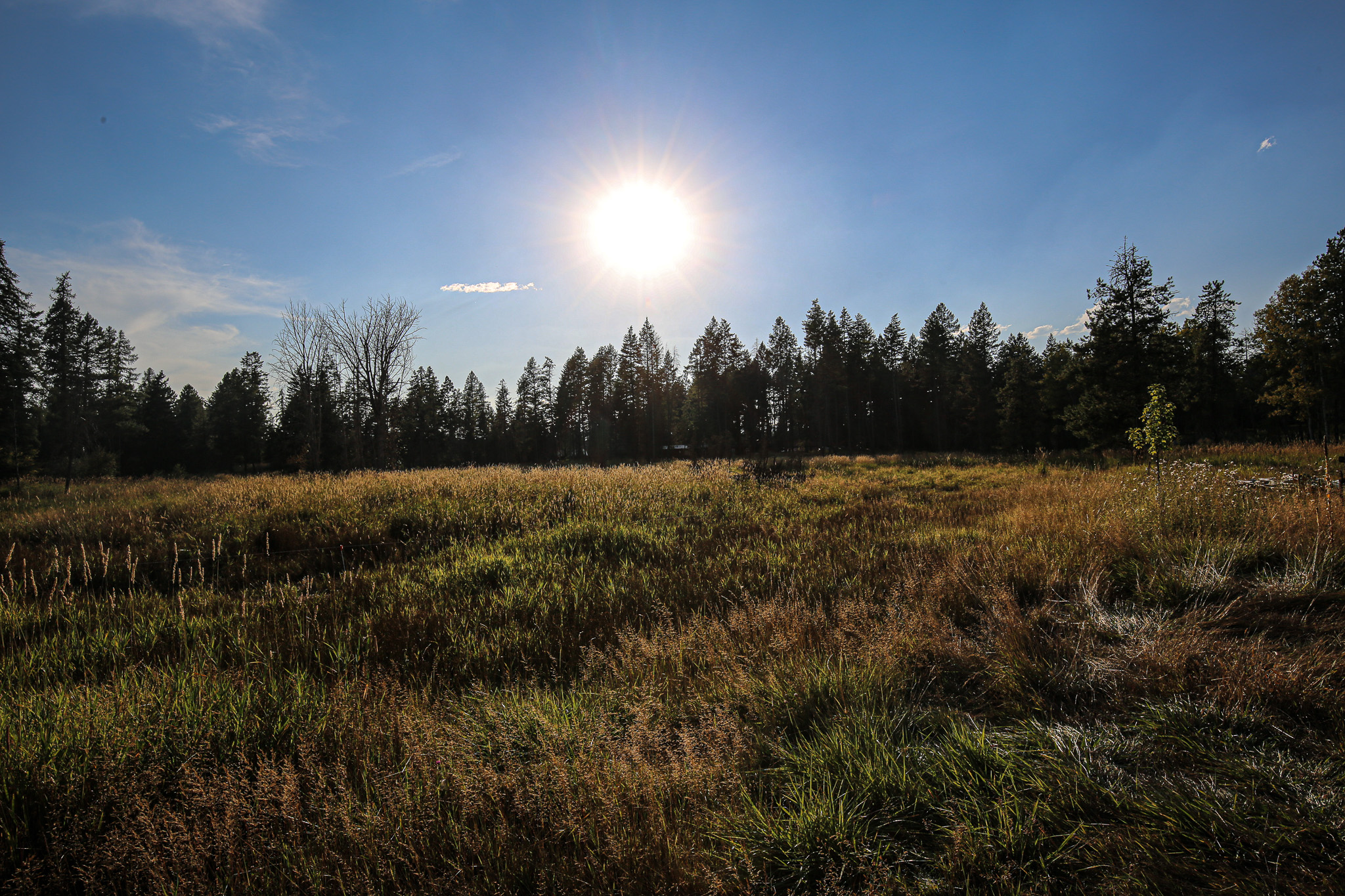 5098 Us Hwy 93 S Property Photo 42