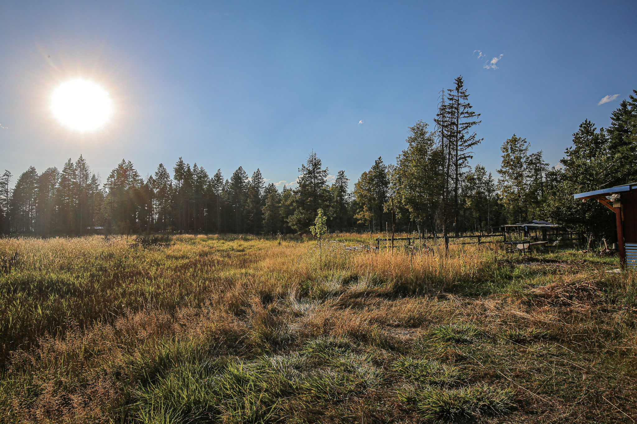 5098 Us Hwy 93 S Property Photo 43