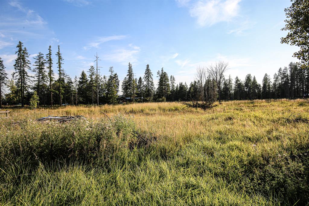 5098 Us Hwy 93 S Property Photo 41