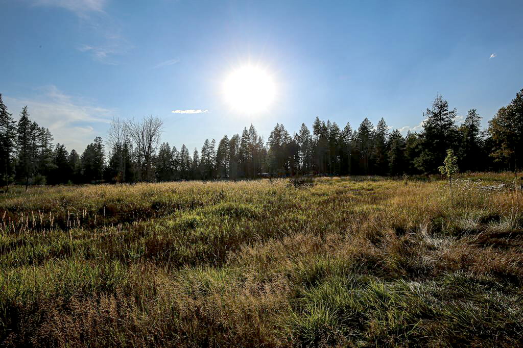 5098 Us Hwy 93 S Property Photo 42