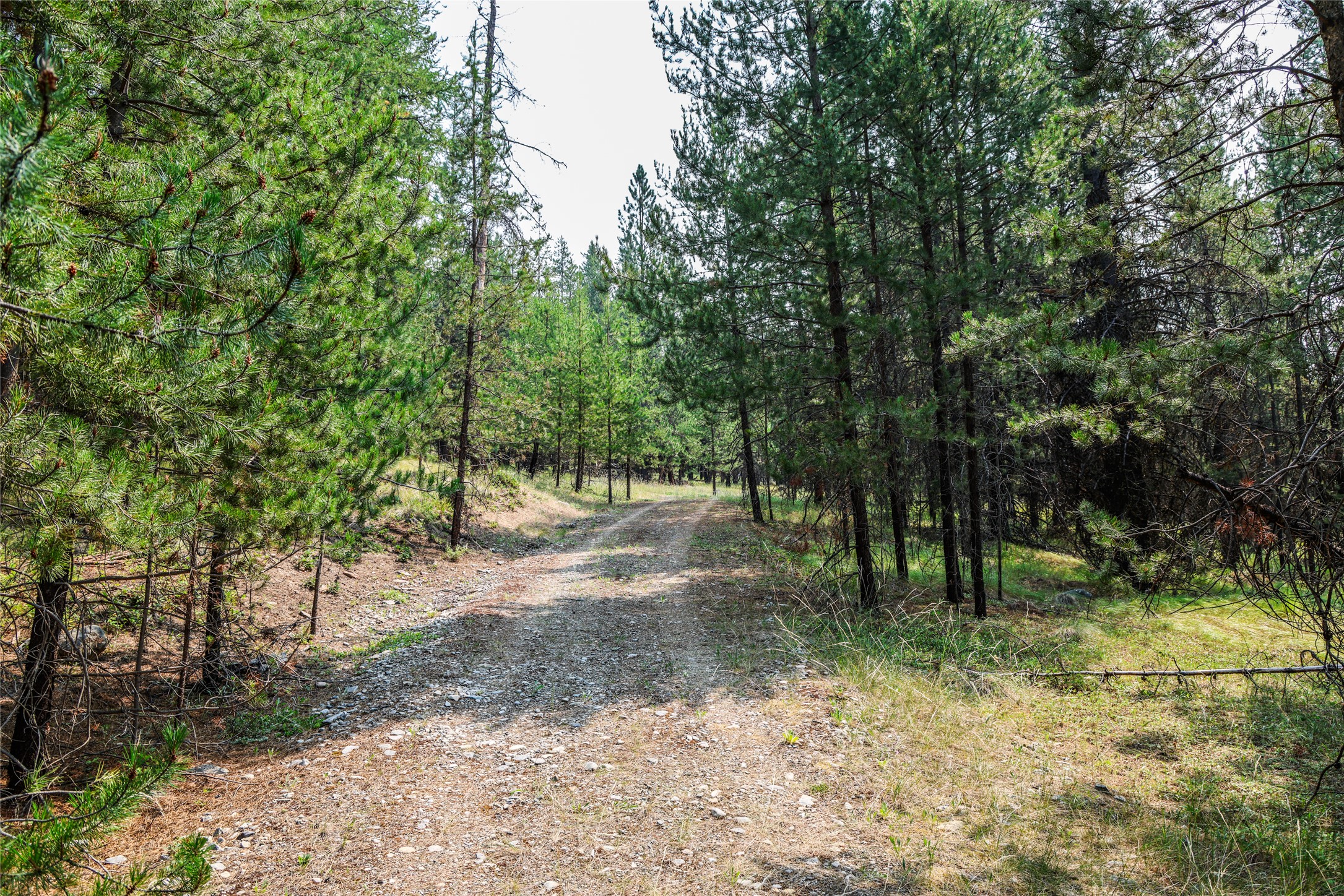 187 Osprey Way Property Photo 6