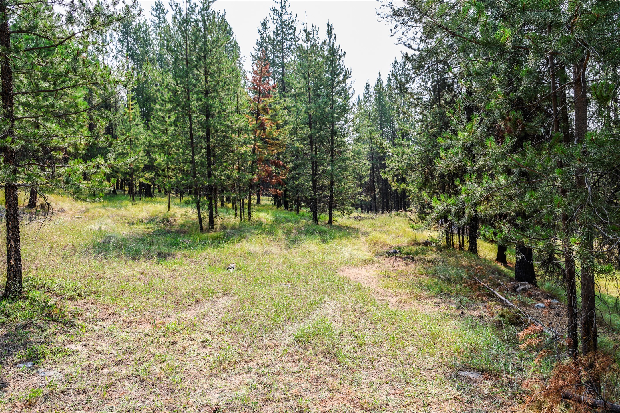 195 Osprey Way Property Photo 8