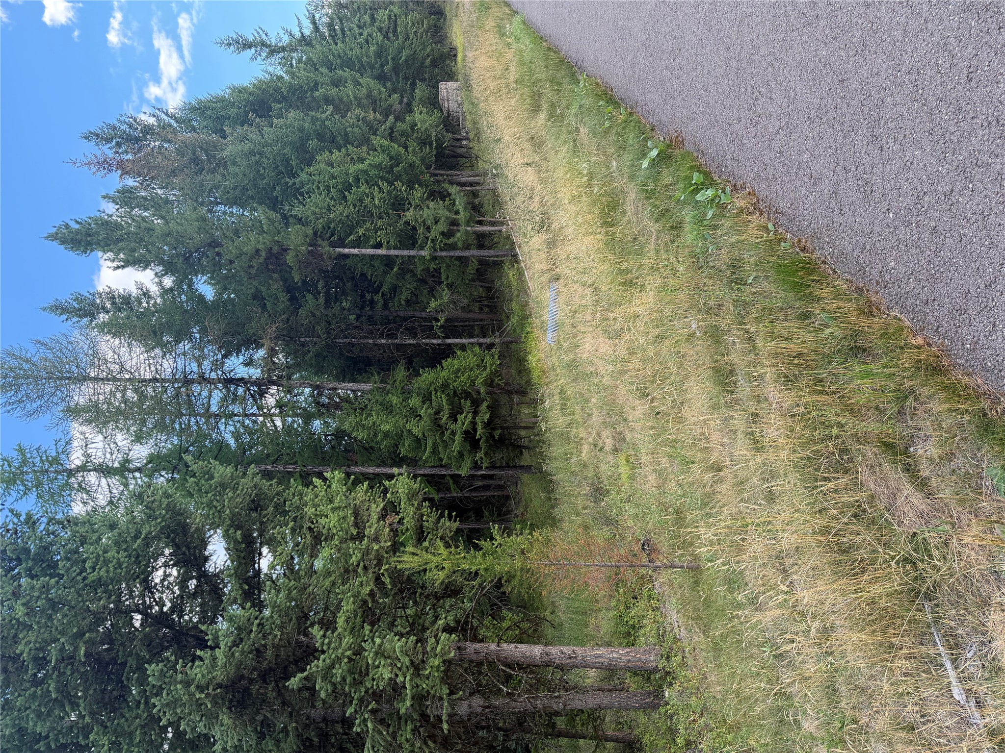 125 Conley Court Property Photo 8