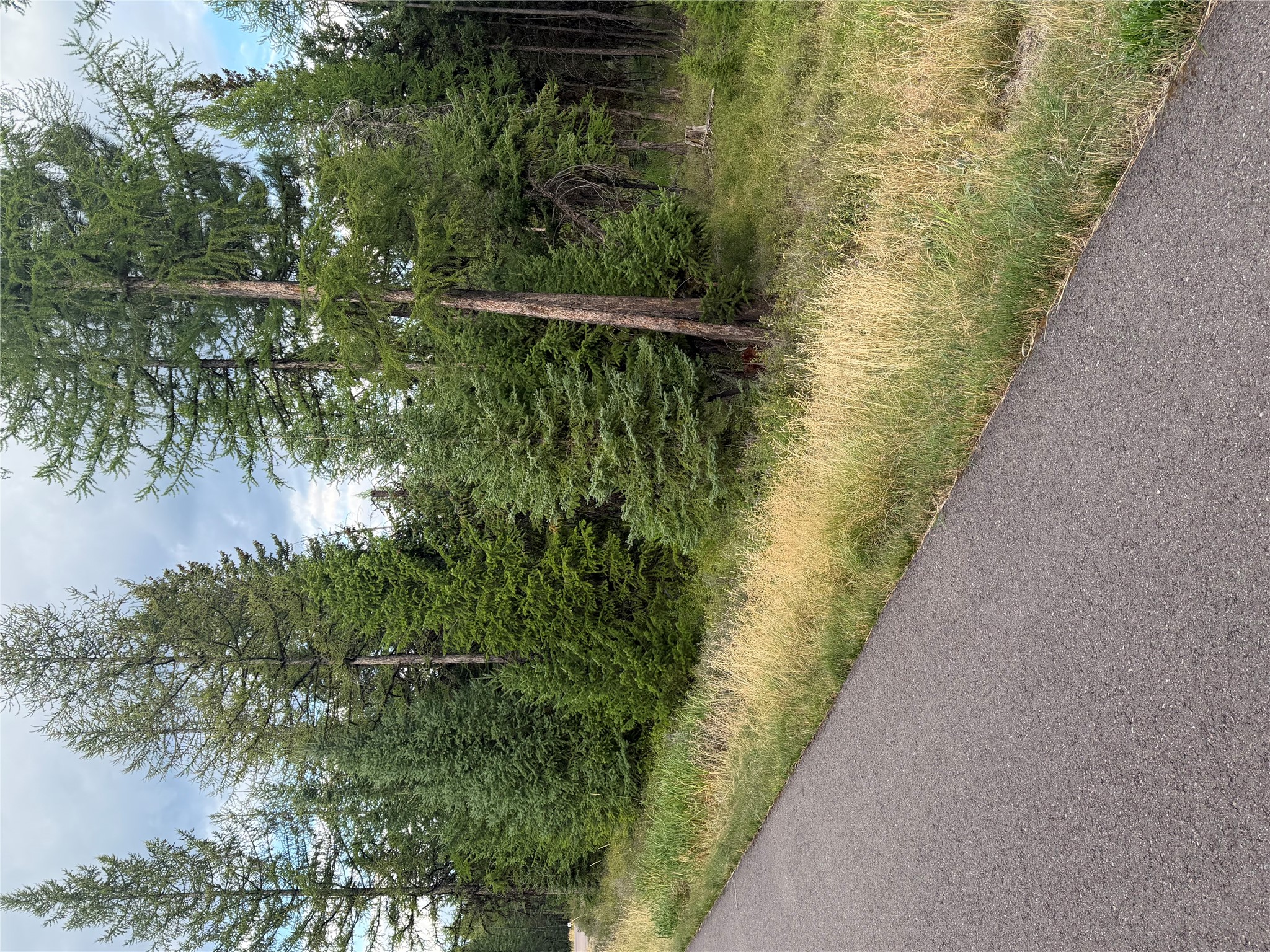 125 Conley Court Property Photo 13