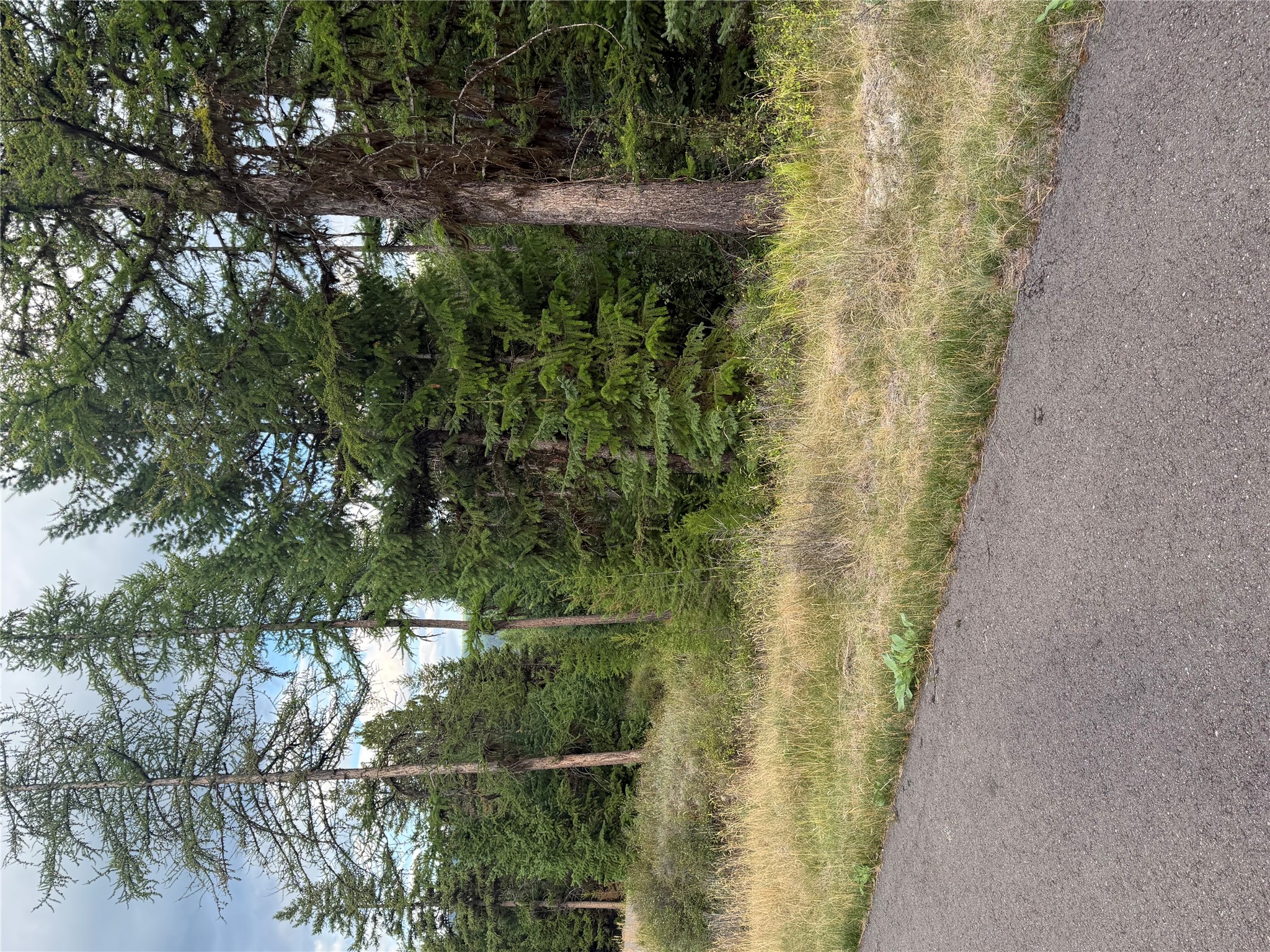 125 Conley Court Property Photo 14