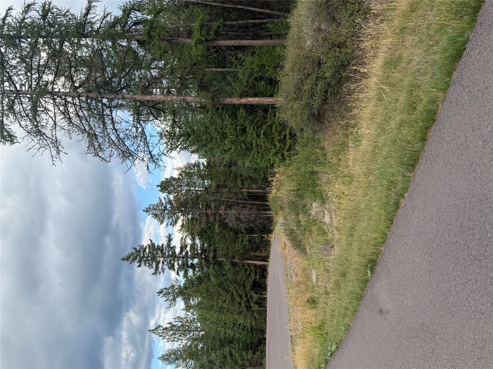 125 Conley Court Property Photo 15