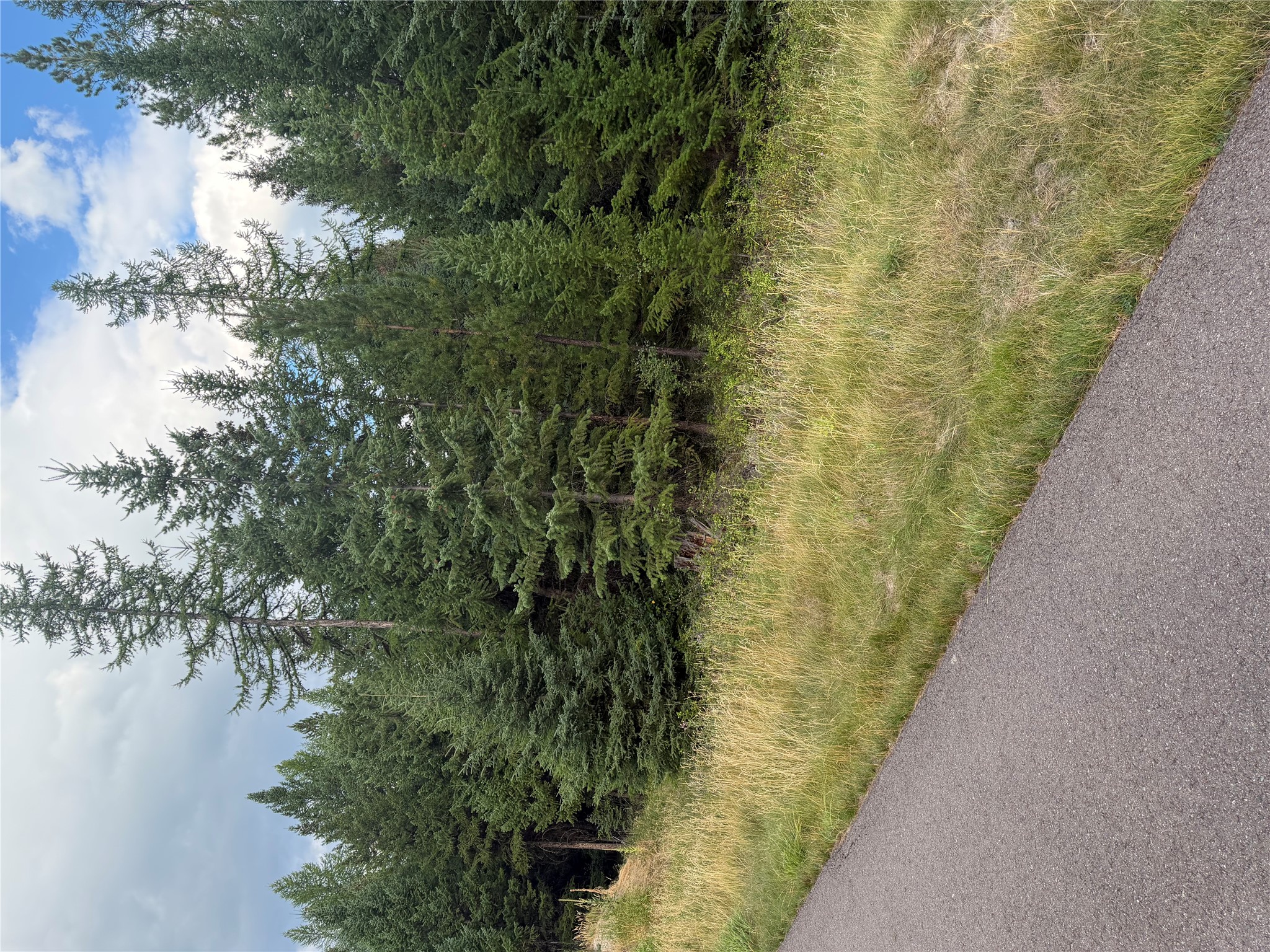 125 Conley Court Property Photo 17