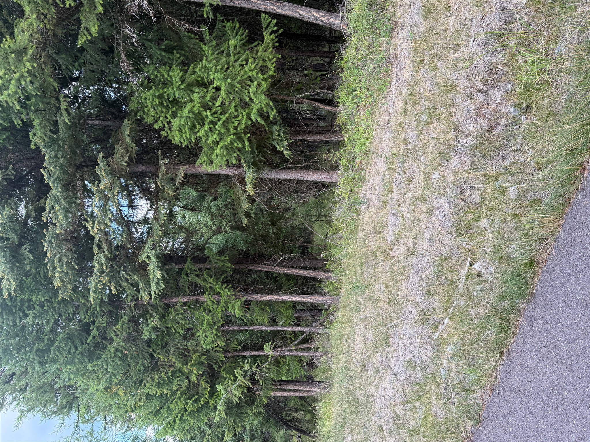 125 Conley Court Property Photo 20