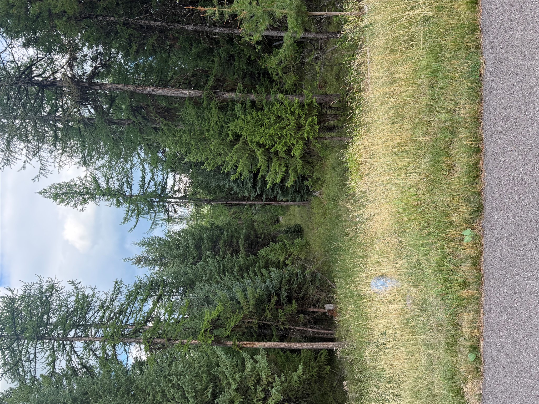 125 Conley Court Property Photo 21