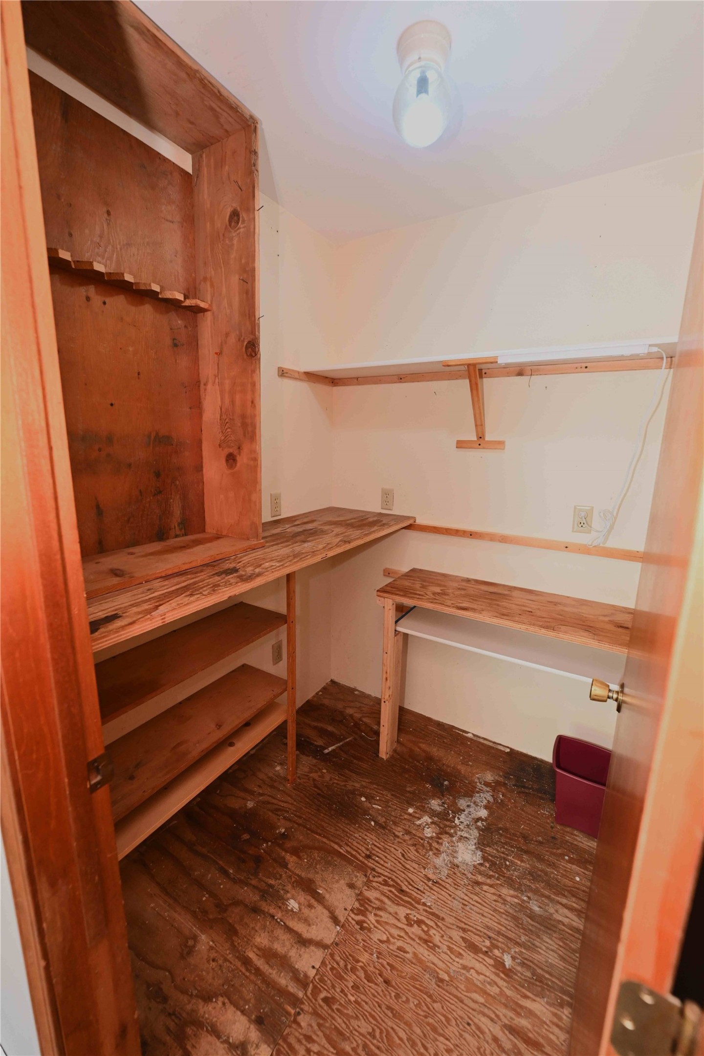 22 Conifer Road Property Photo 56