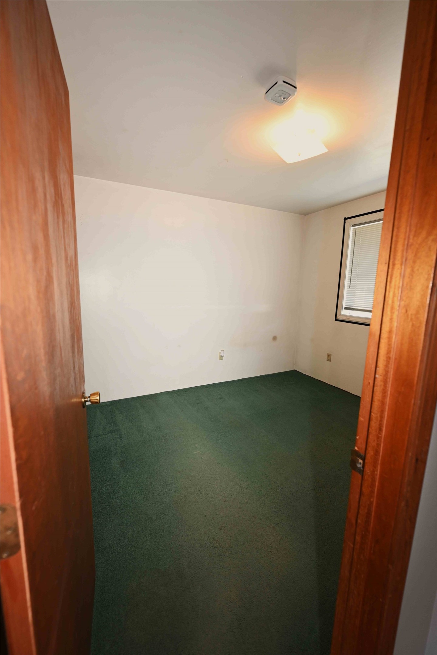 22 Conifer Road Property Photo 60