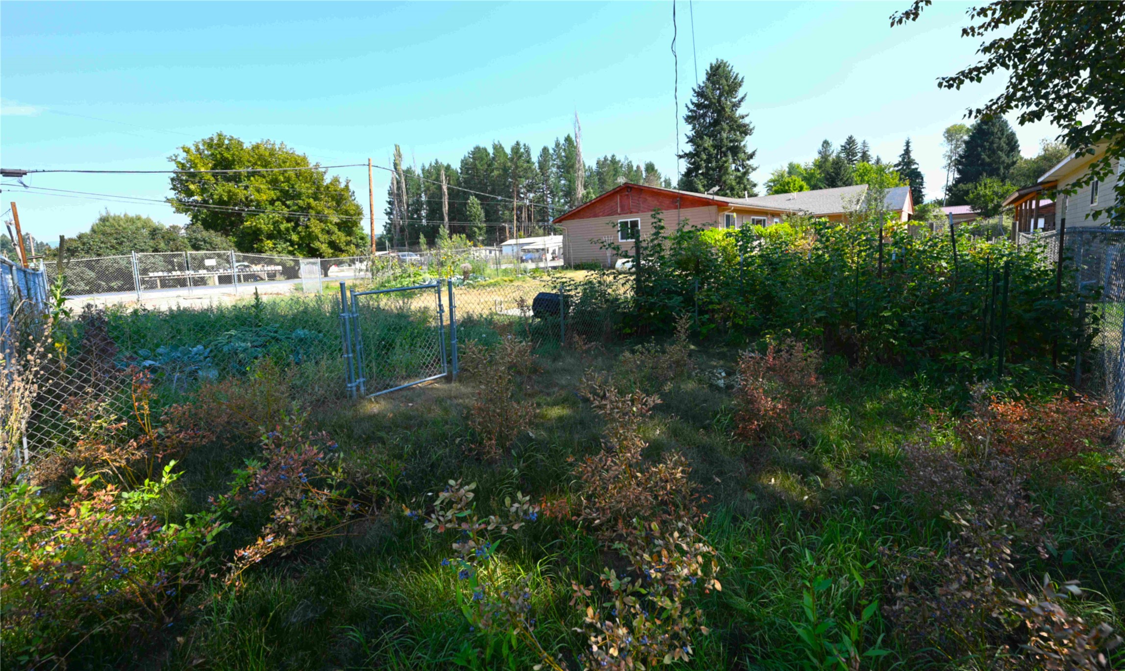 22 Conifer Road Property Photo 77