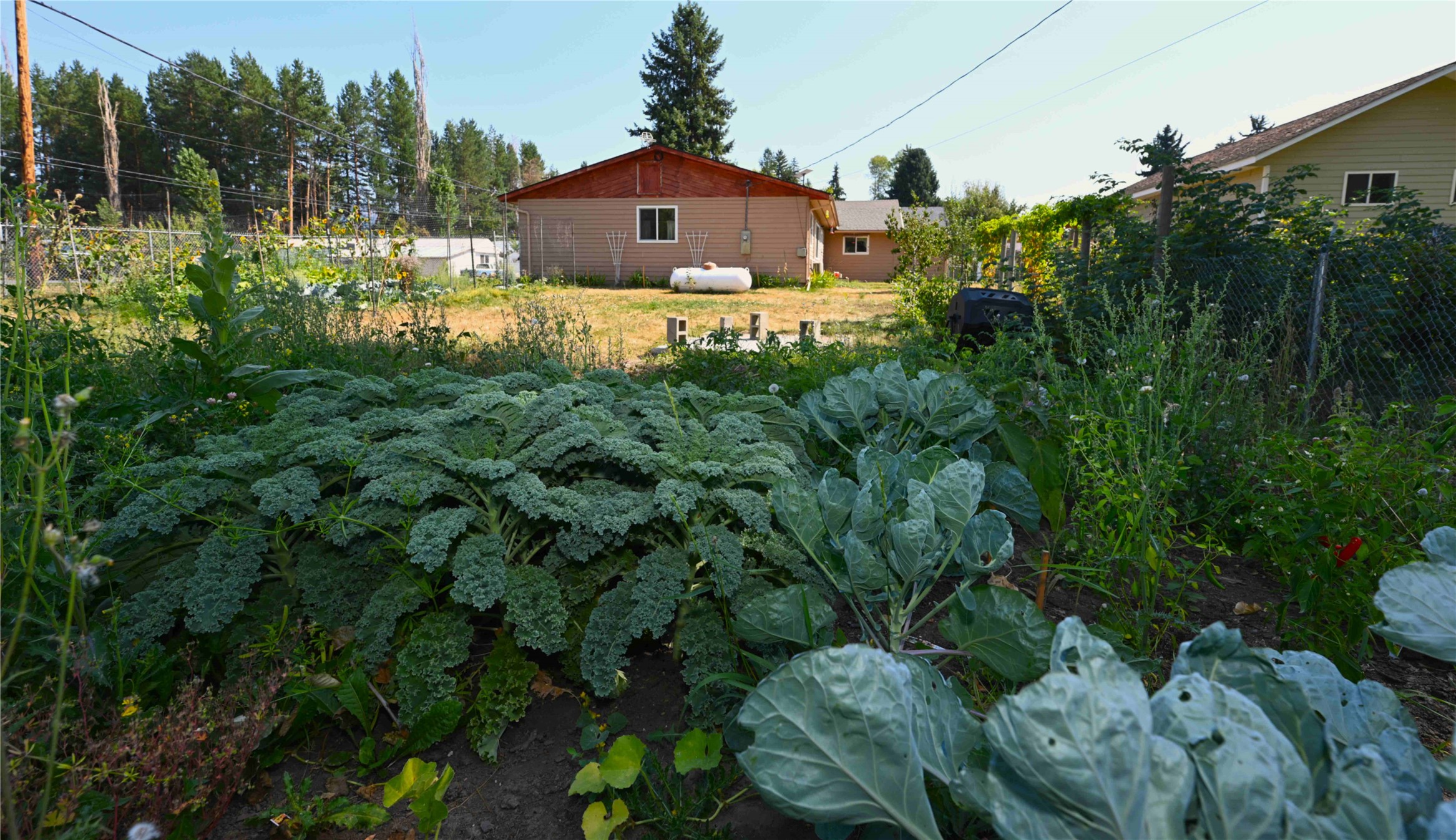 22 Conifer Road Property Photo 78