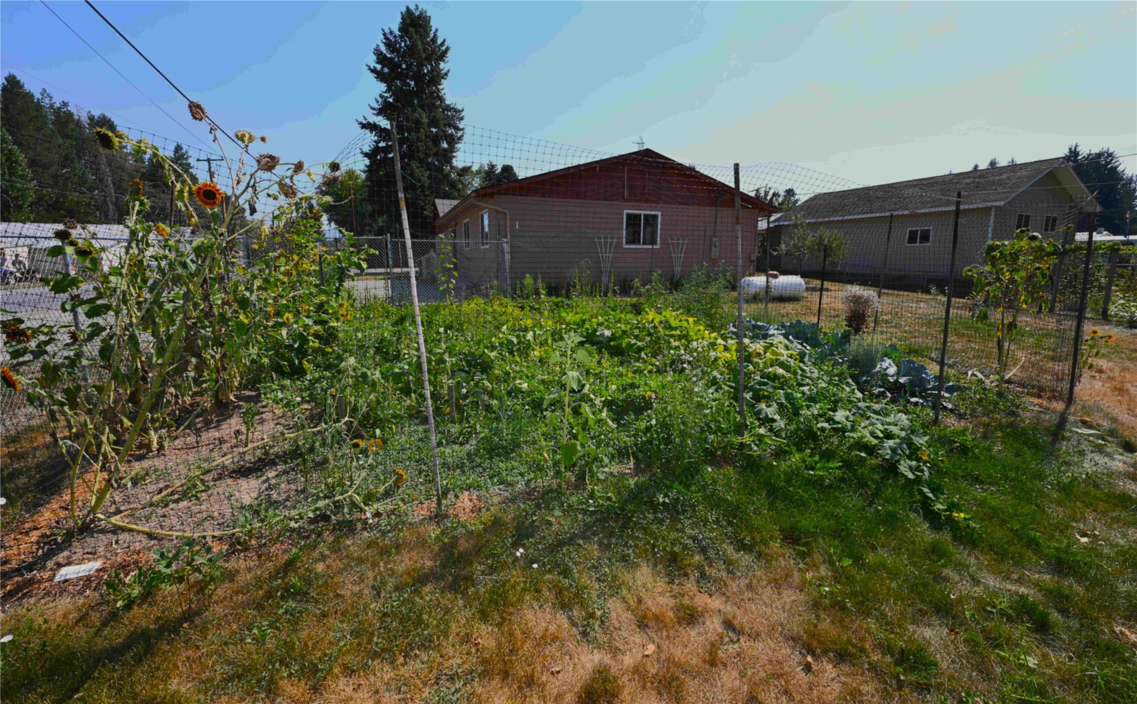 22 Conifer Road Property Photo 79