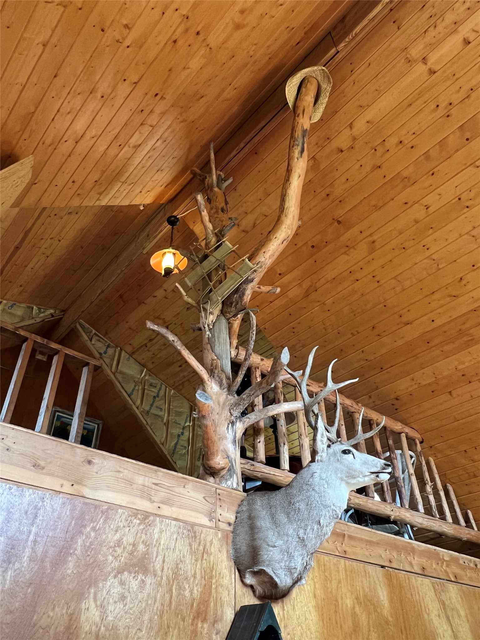 347 Soaring Eagle Trail Property Photo 35