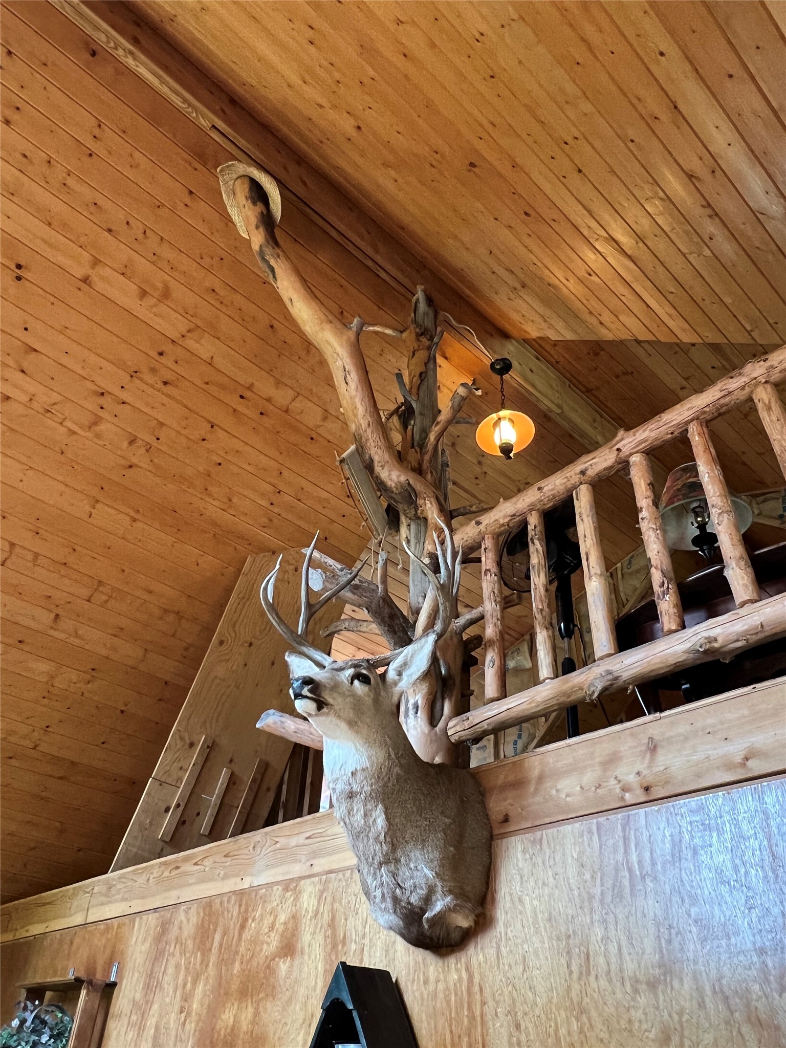 347 Soaring Eagle Trail Property Photo 37