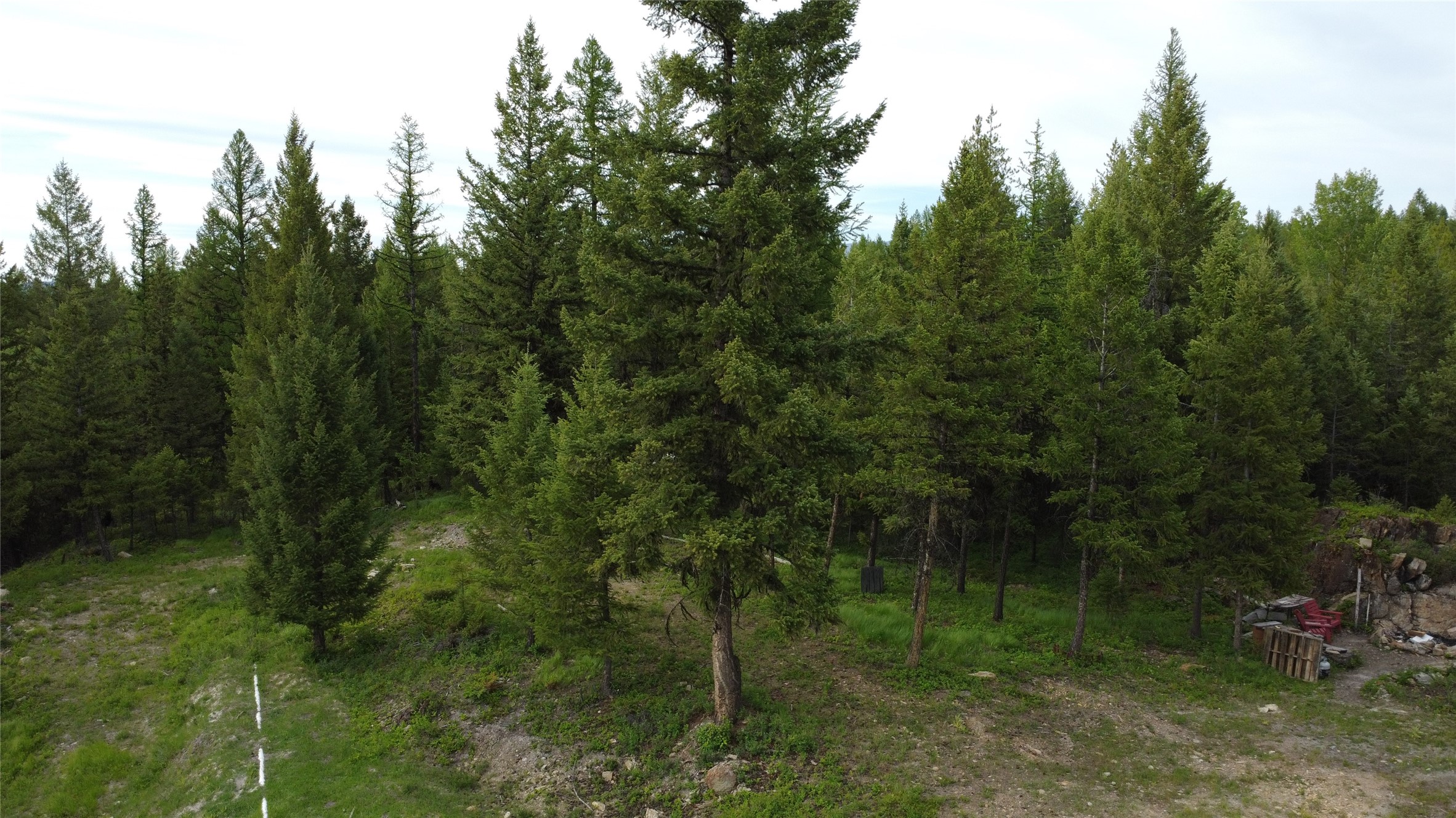 347 Soaring Eagle Trail Property Photo 68
