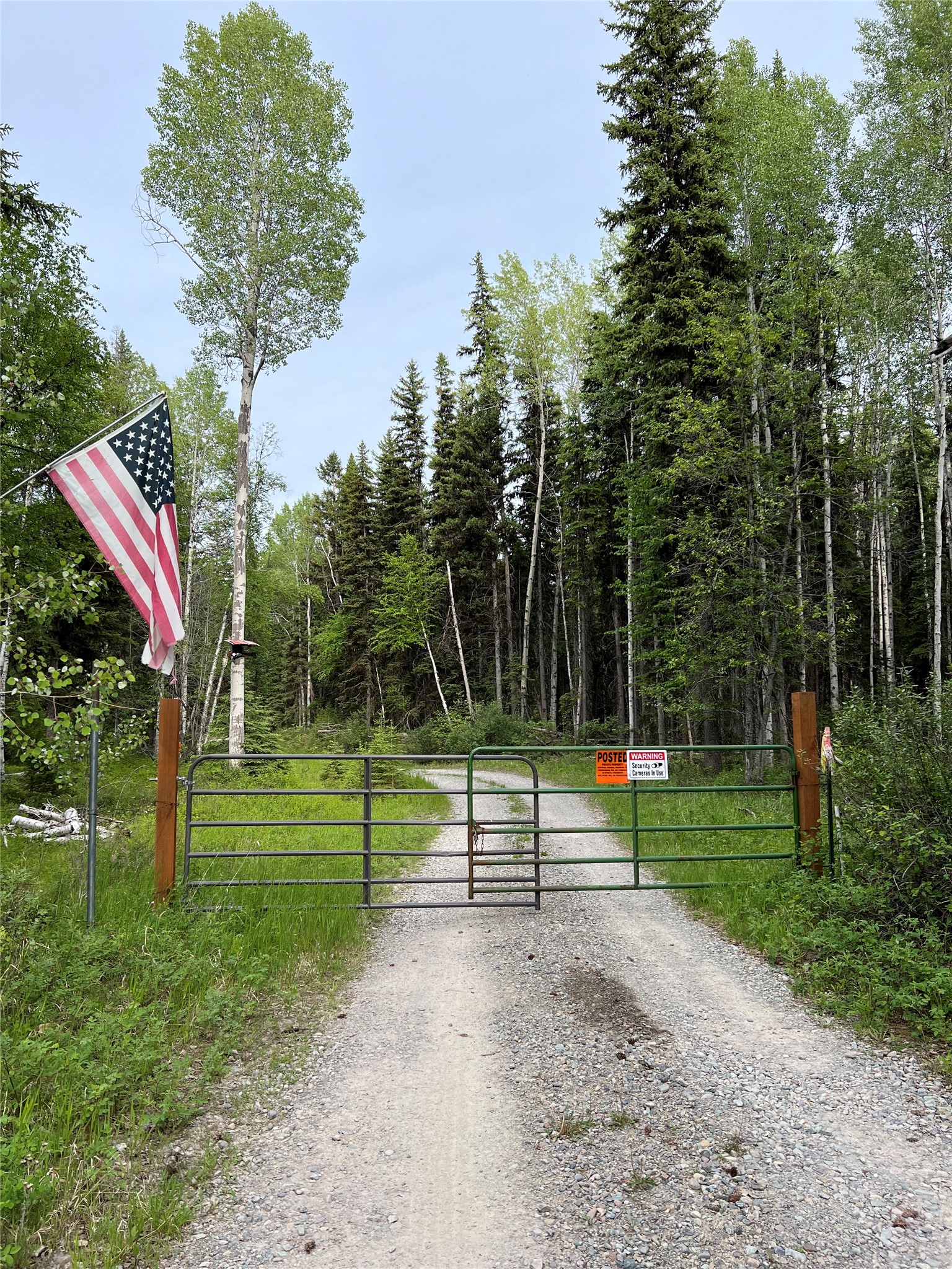 347 Soaring Eagle Trail Property Photo 83