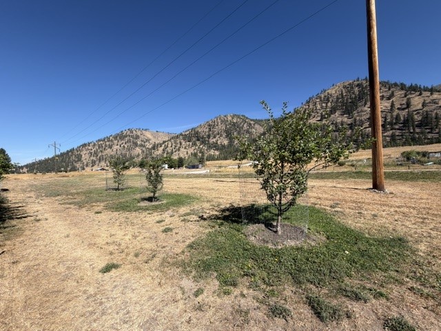 1997 Mullan Road W Property Photo 56