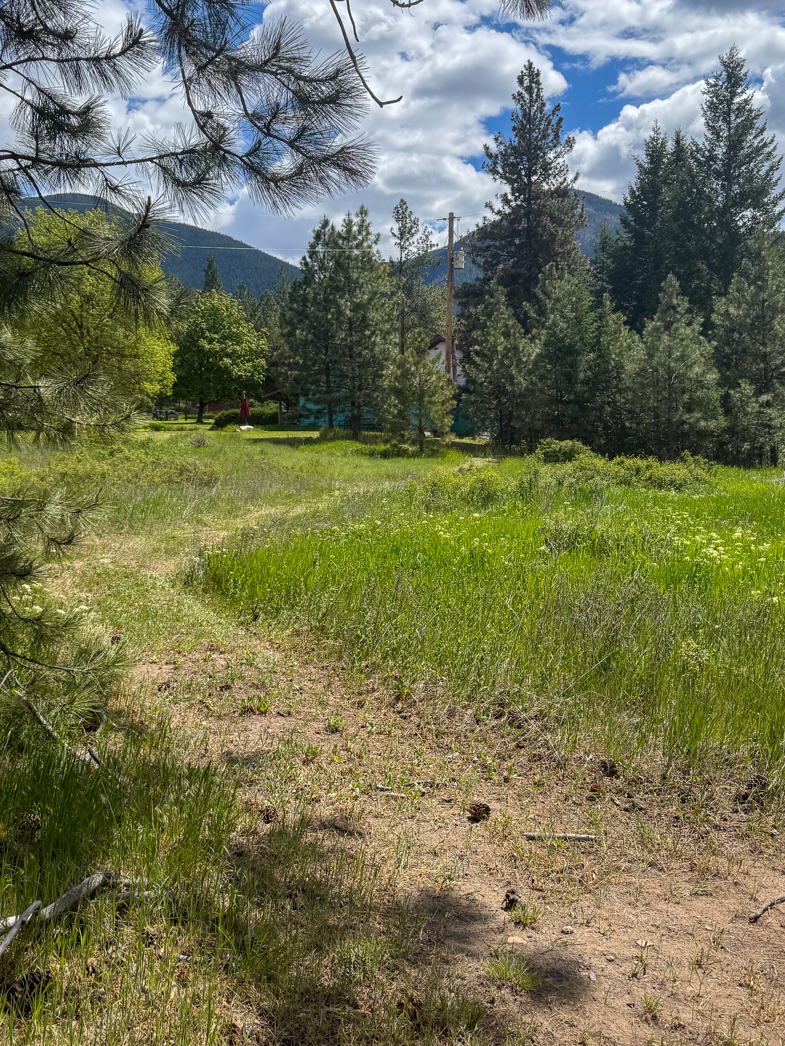 3150 Schley Creek Road Property Photo 40