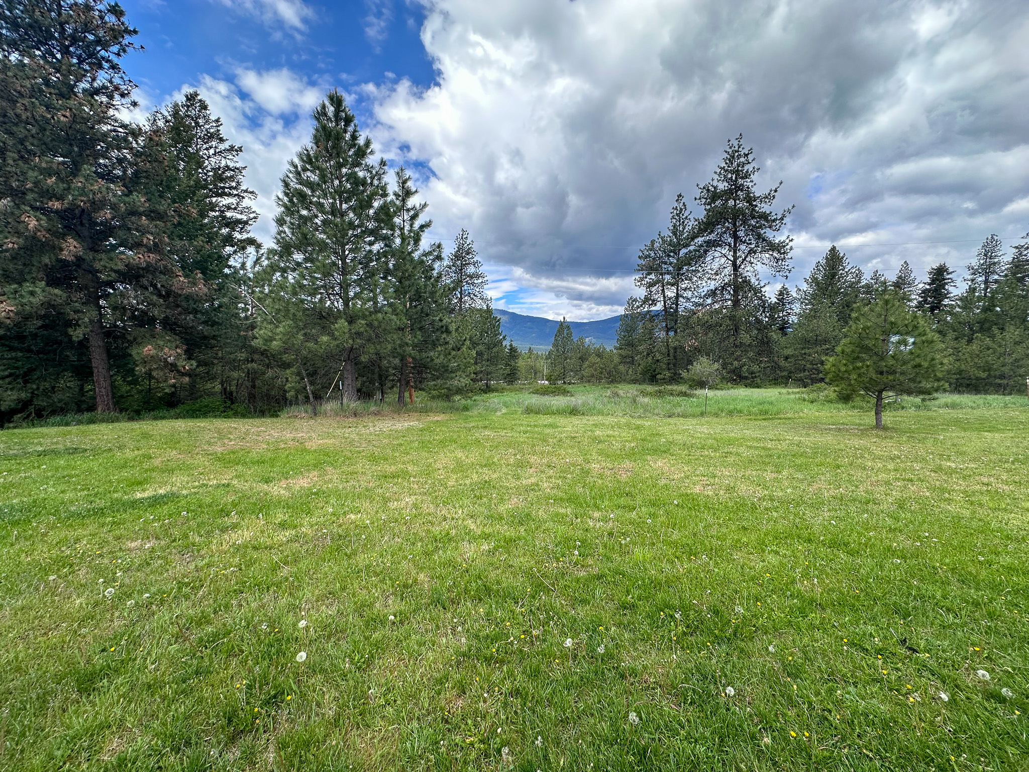3150 Schley Creek Road Property Photo 51