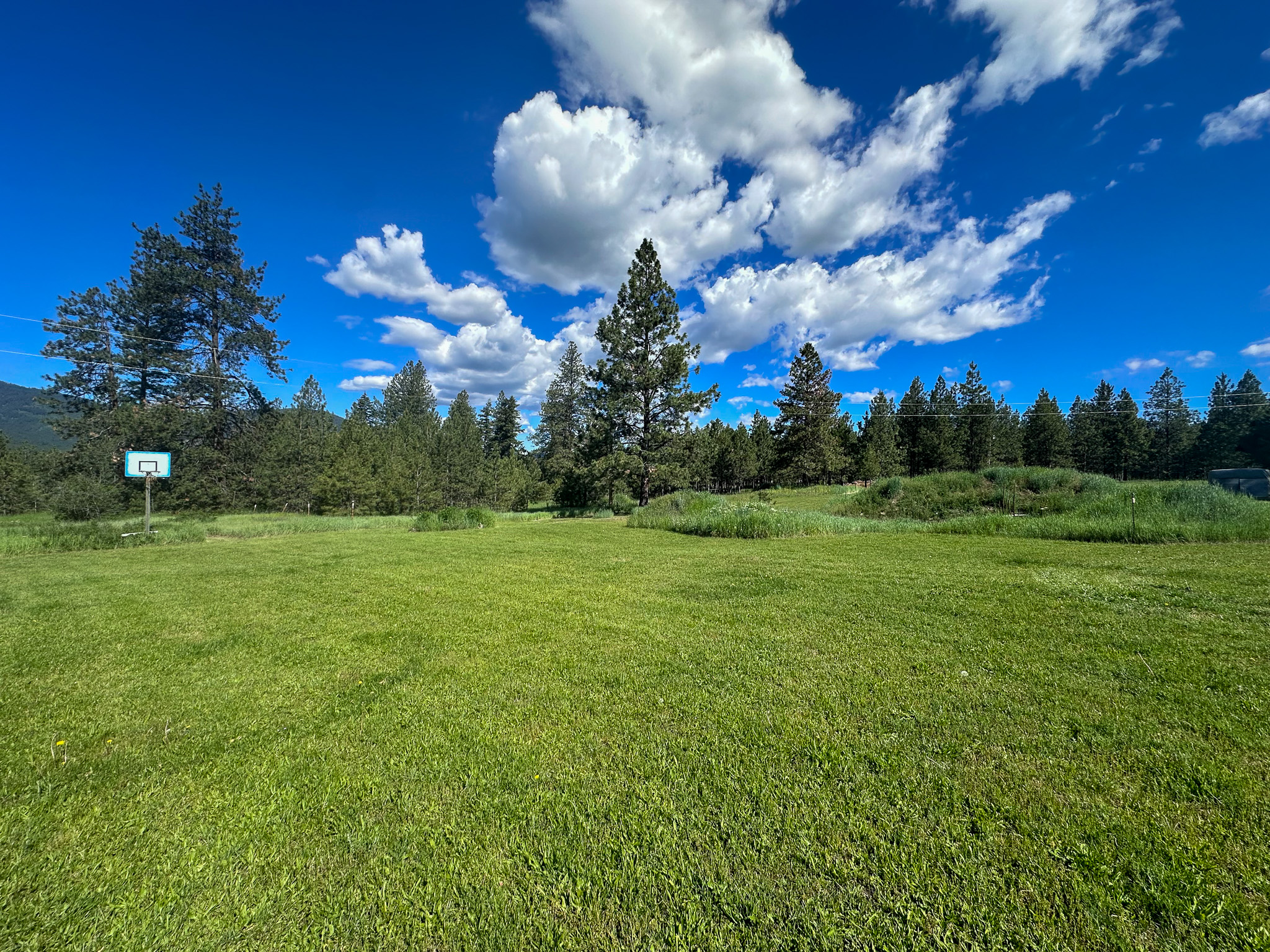 3150 Schley Creek Road Property Photo 56