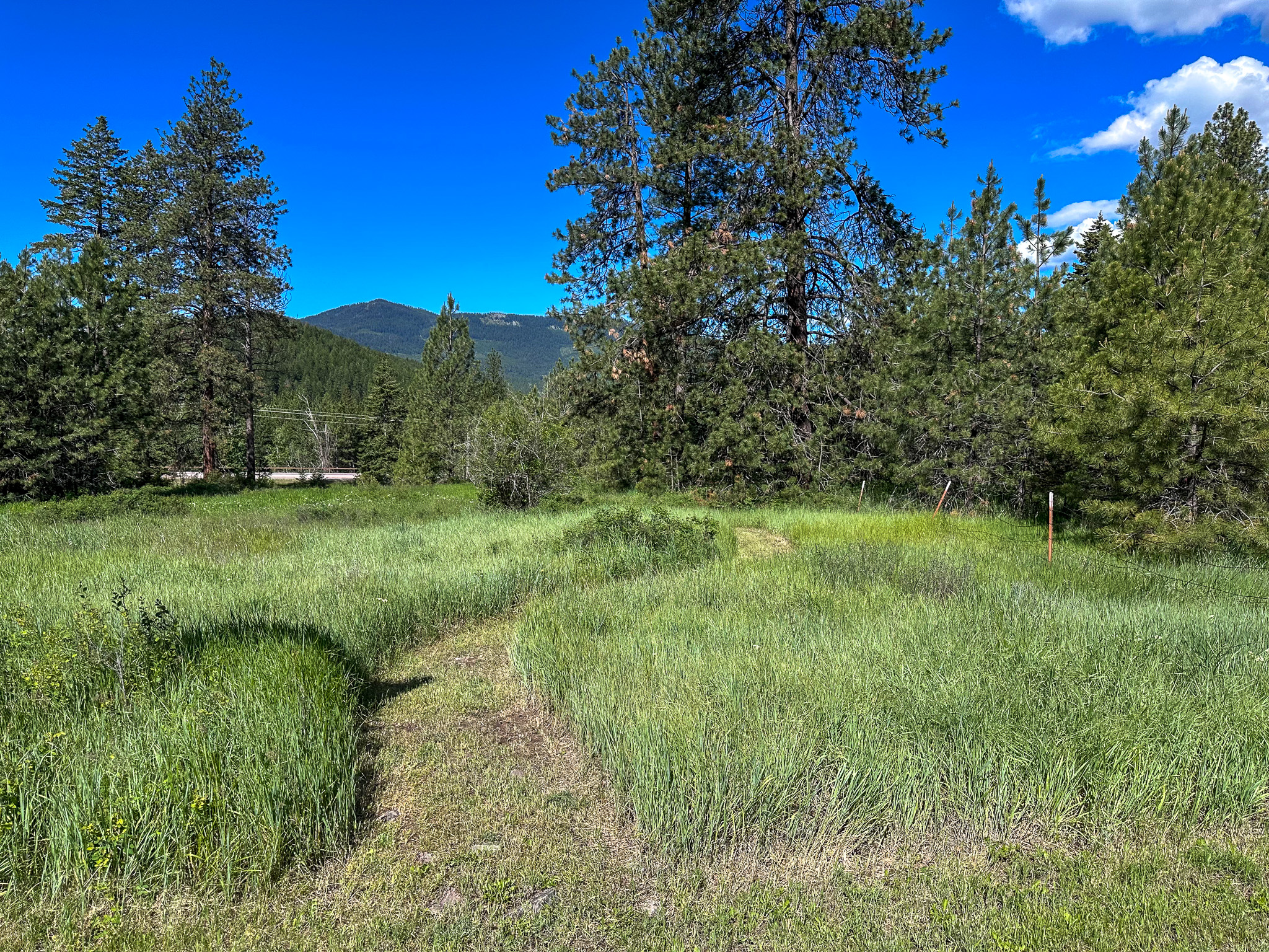 3150 Schley Creek Road Property Photo 57