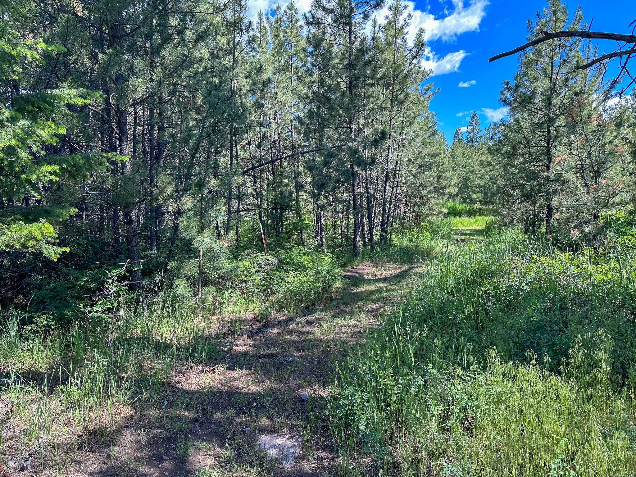 3150 Schley Creek Road Property Photo 59