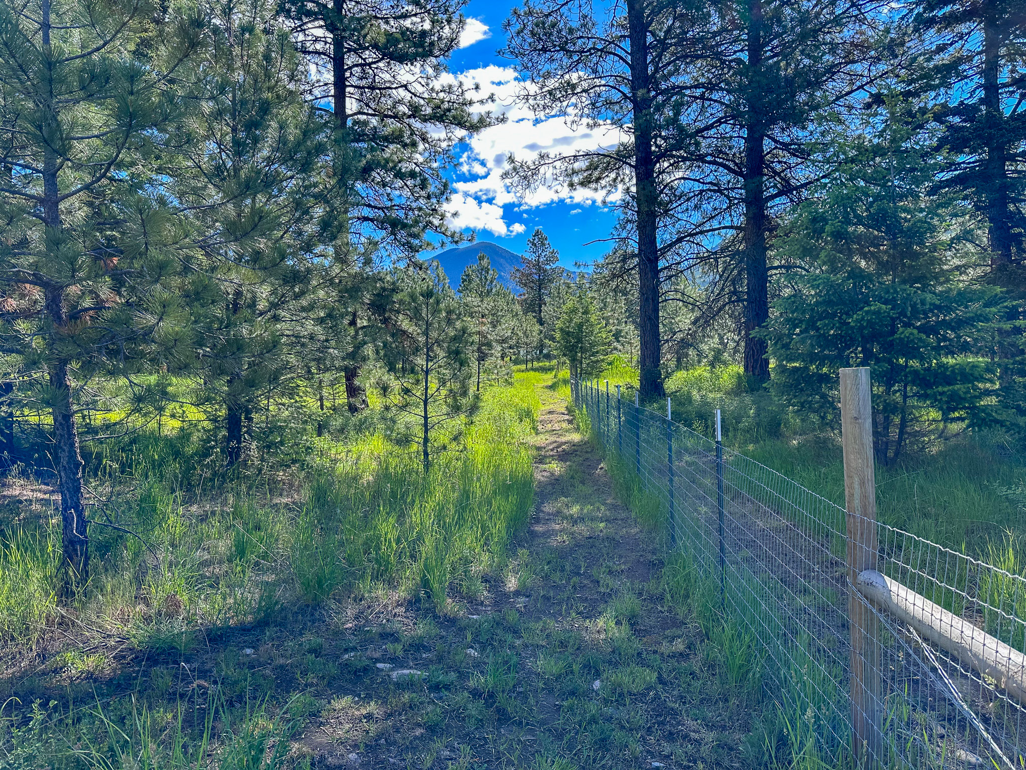 3150 Schley Creek Road Property Photo 60