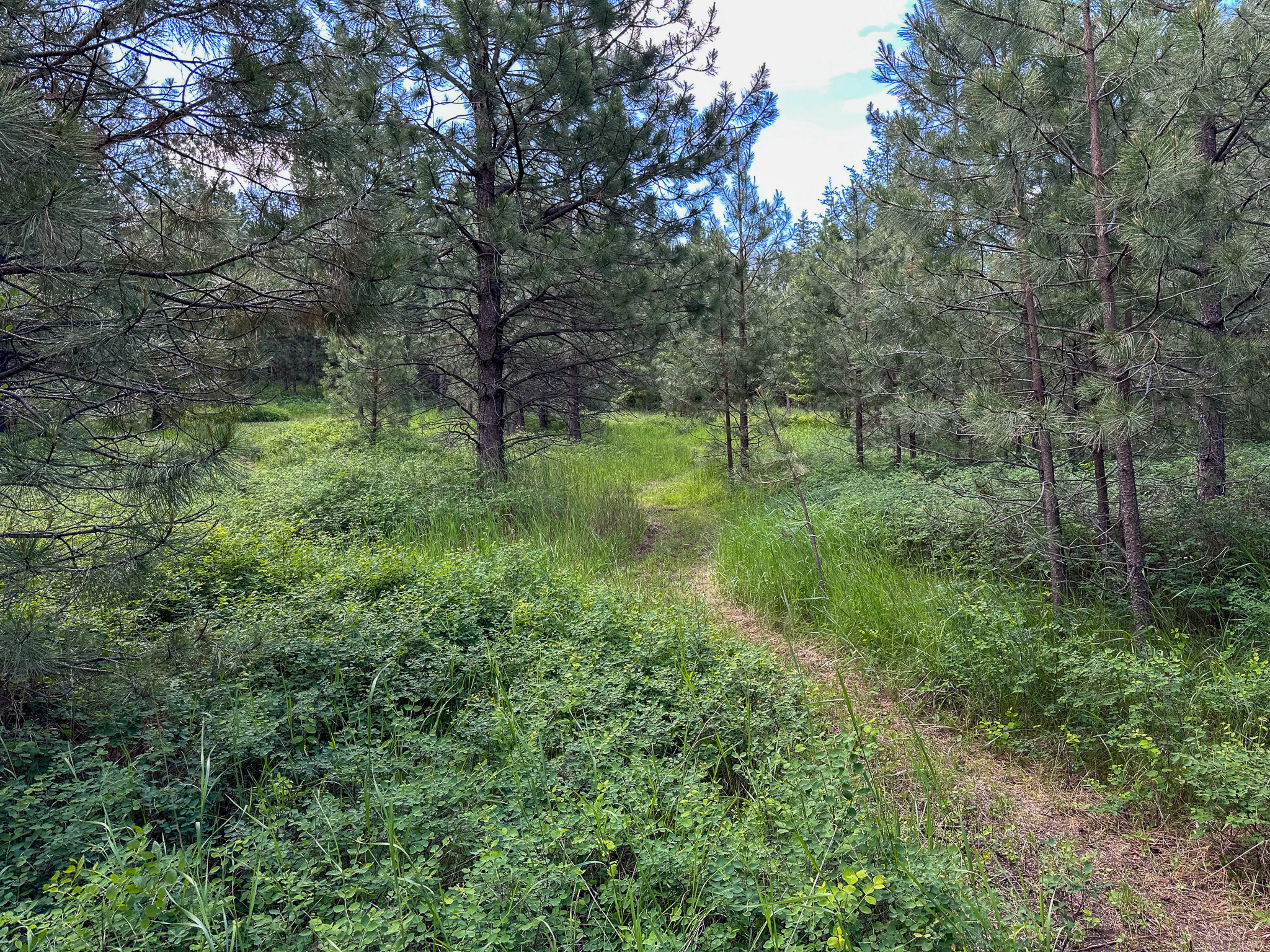 3150 Schley Creek Road Property Photo 65