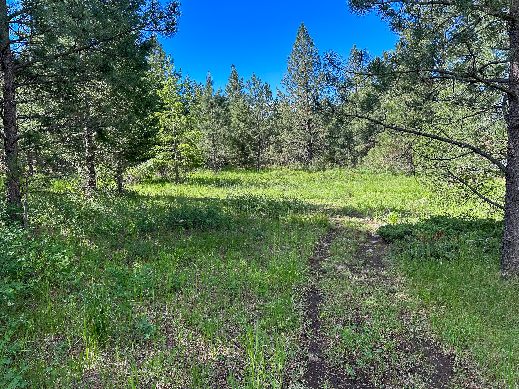 3150 Schley Creek Road Property Photo 66