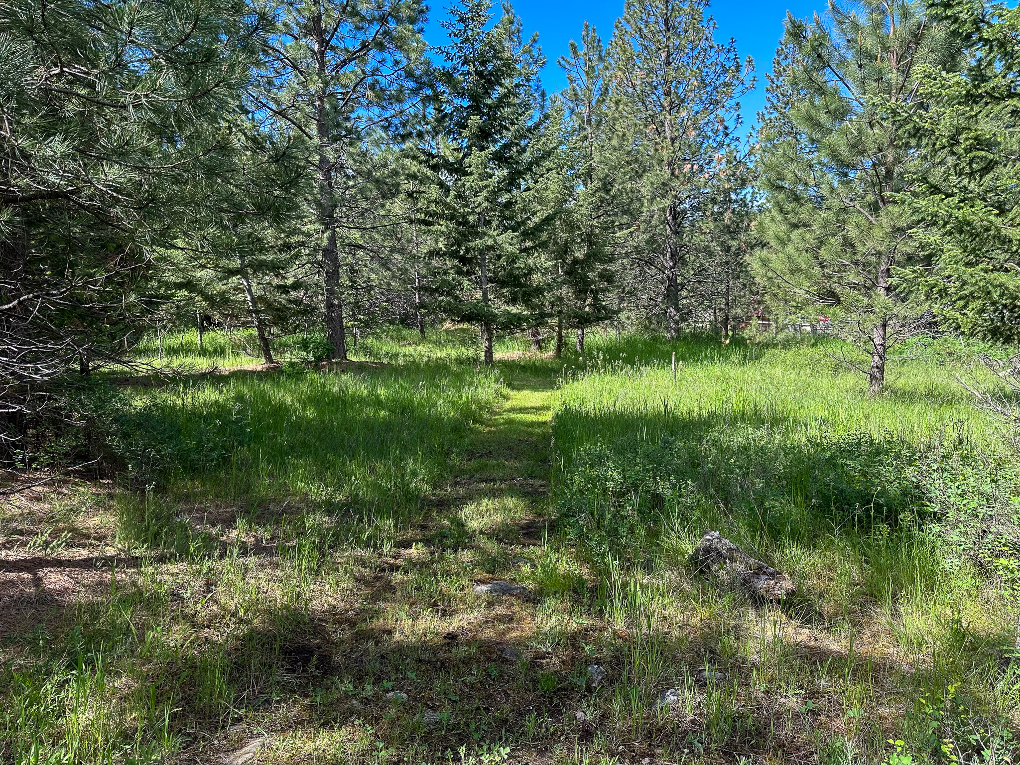 3150 Schley Creek Road Property Photo 67