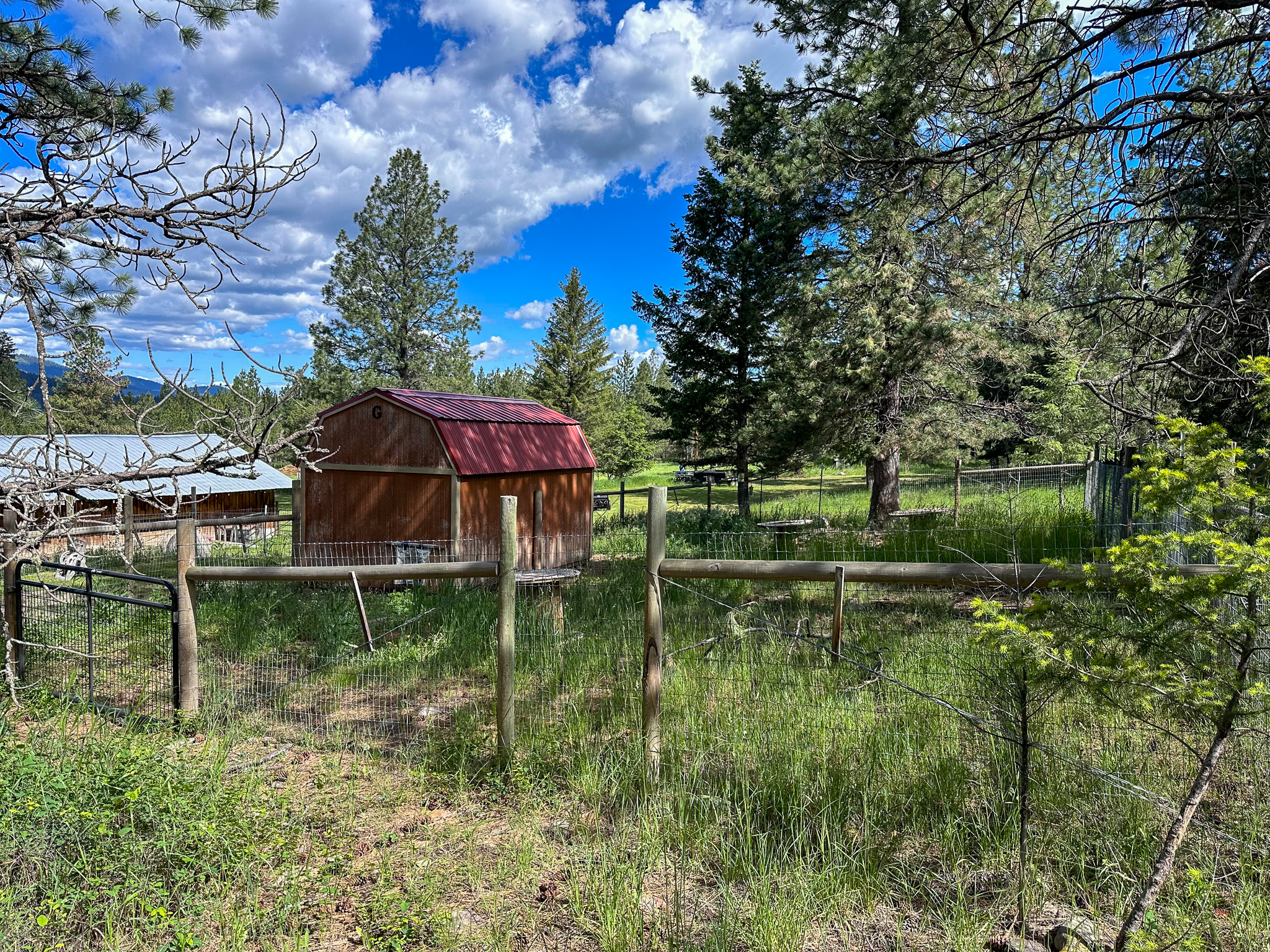 3150 Schley Creek Road Property Photo 68