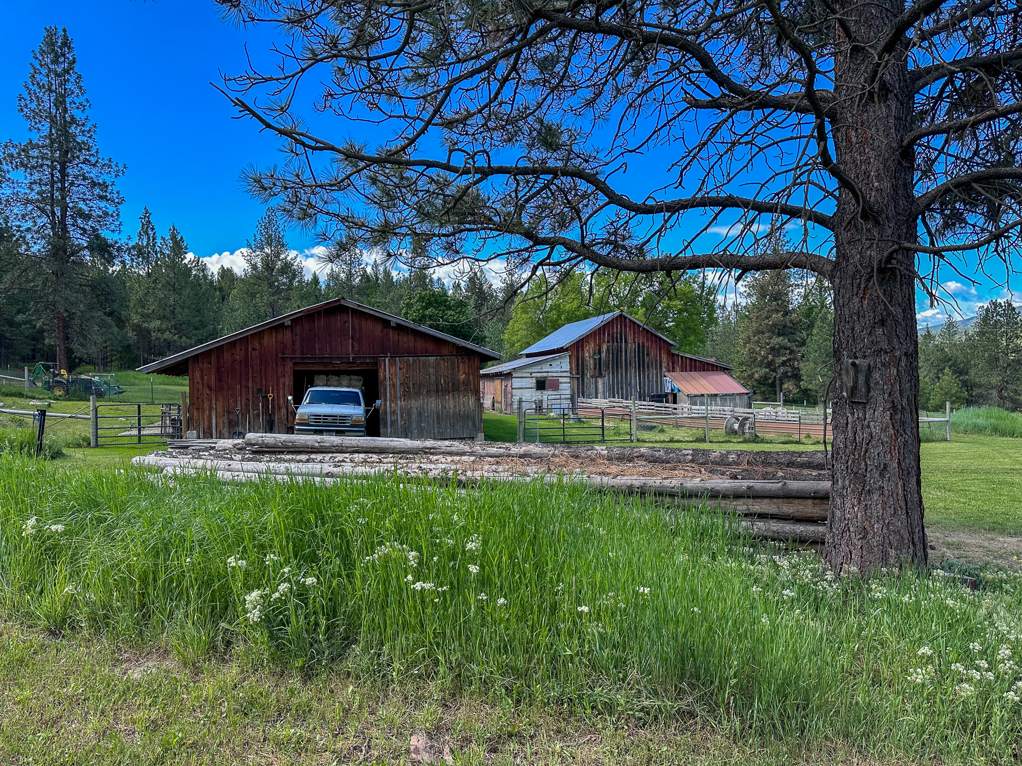3150 Schley Creek Road Property Photo 74