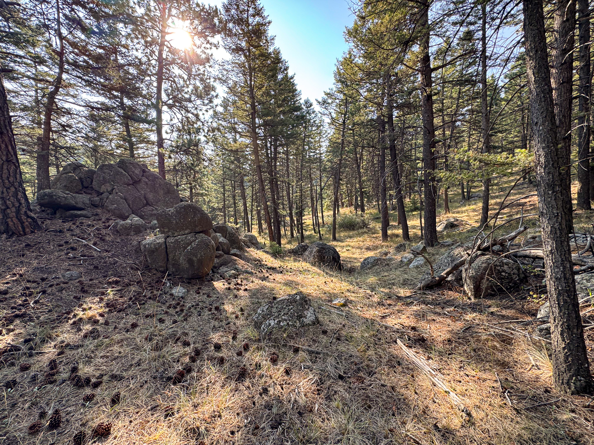 93 Saddle Mountain Drive Property Photo 1