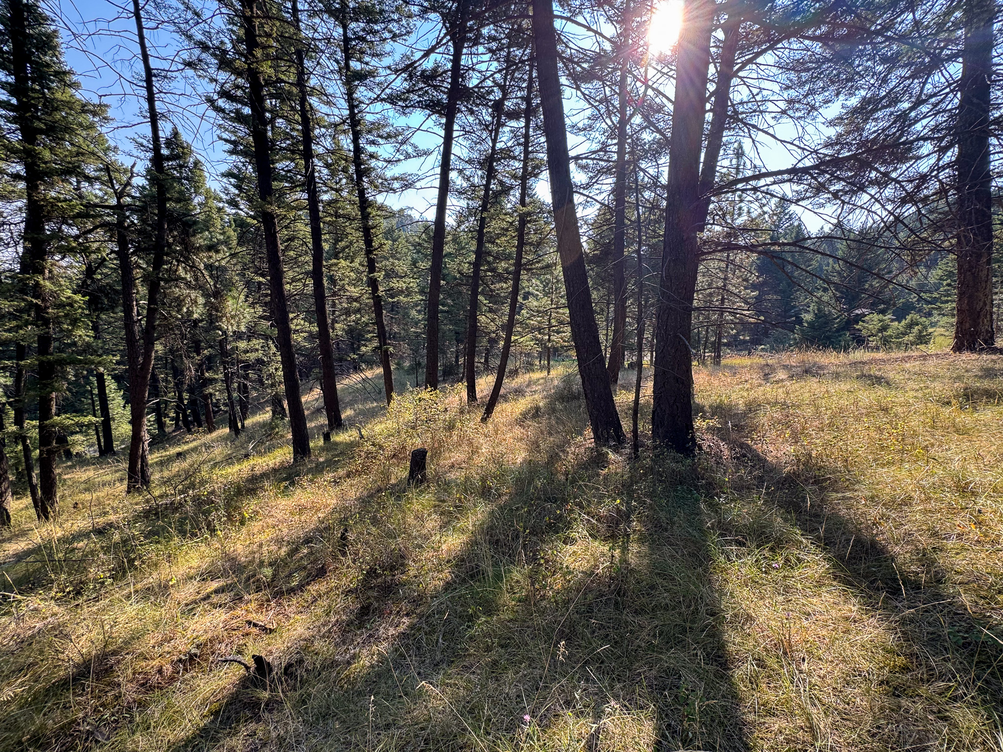 93 Saddle Mountain Drive Property Photo 2