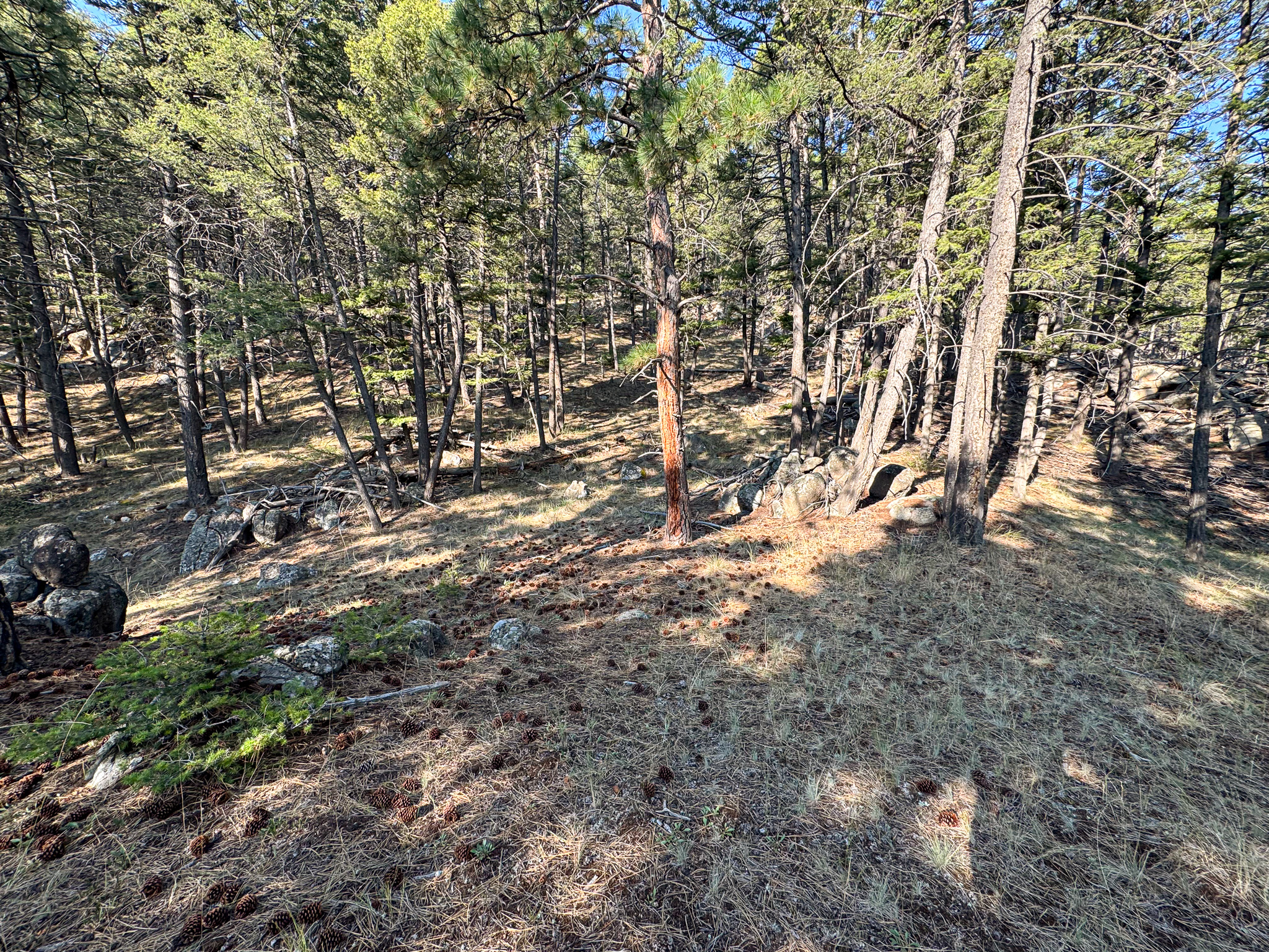 93 Saddle Mountain Drive Property Photo 5