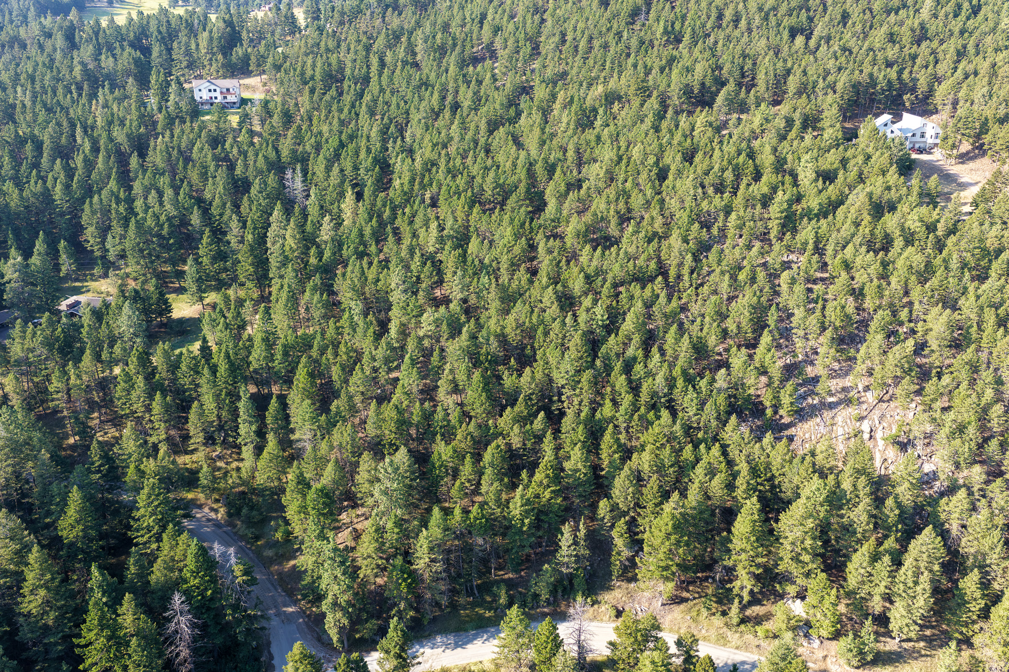 93 Saddle Mountain Drive Property Photo 7